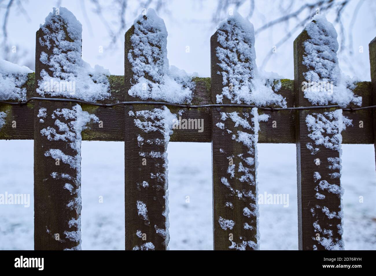 fotografia di giorno di nevica in inverno Foto Stock