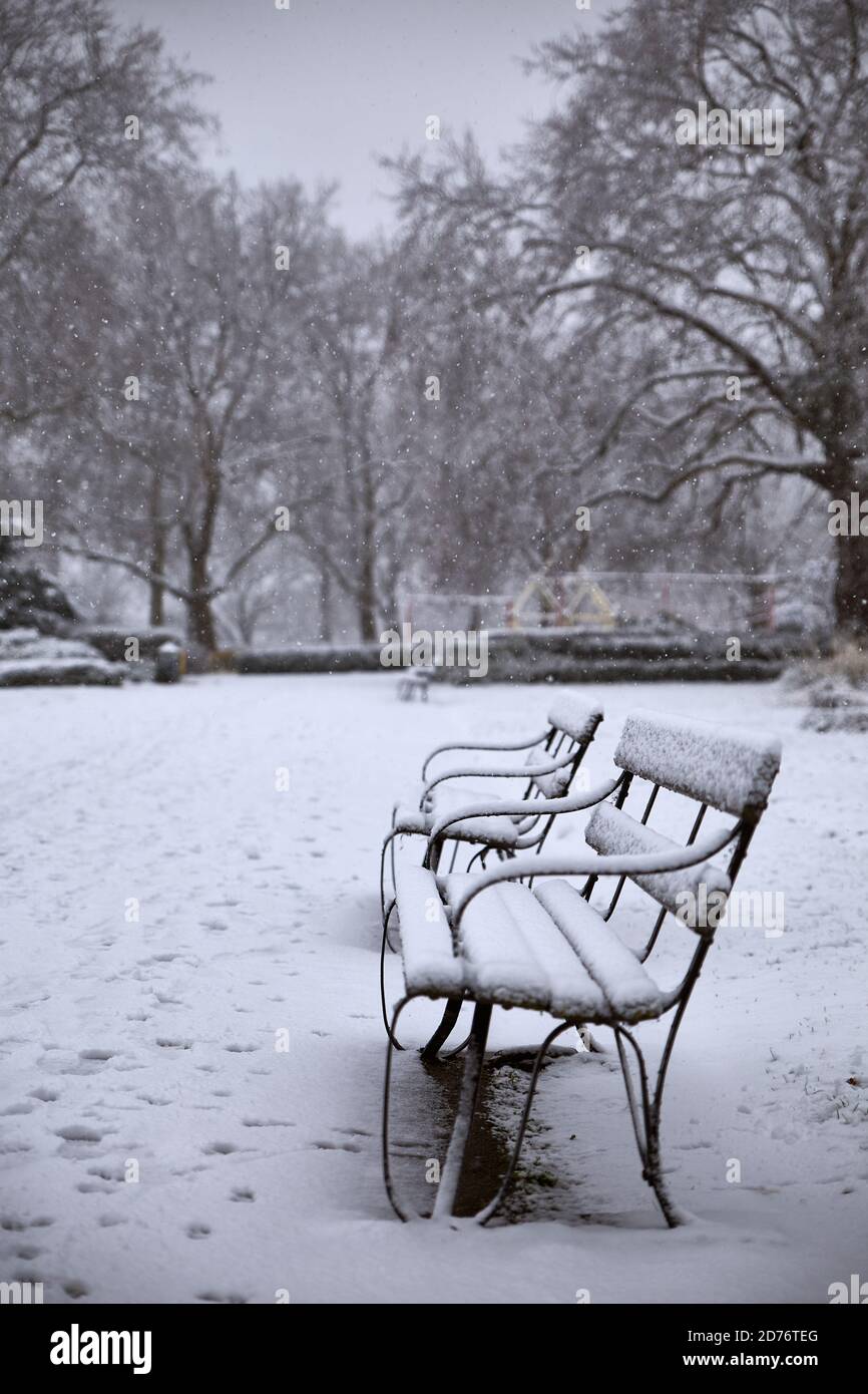 fotografia di giorno di nevica in inverno Foto Stock