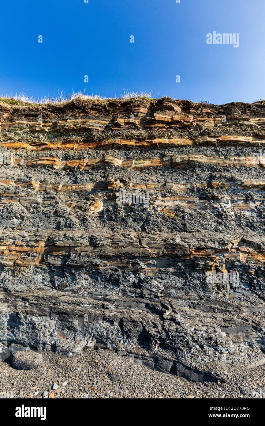 Gli instabili strati di fango e scisto ricchi di fossili nelle scogliere di Kimmeridge Bay sulla Jurassic Coast, Dorset, Inghilterra Foto Stock