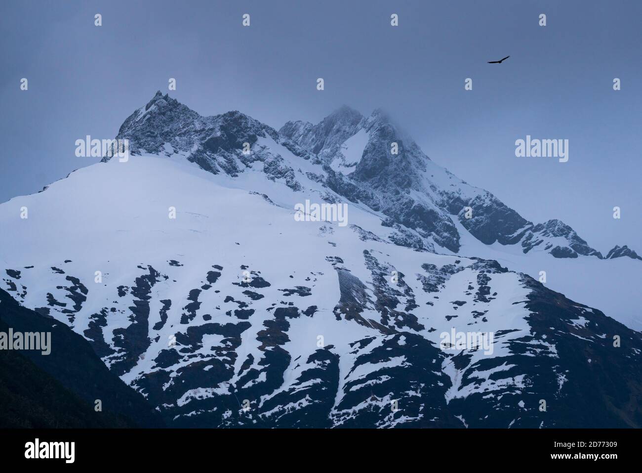 Catena montuosa di Darwin, canale di Beagle, Arcipelago di Tierra del Fuego, Magallanes e Regione dell'Antartide Cilena, Cile, Sud America, America Foto Stock