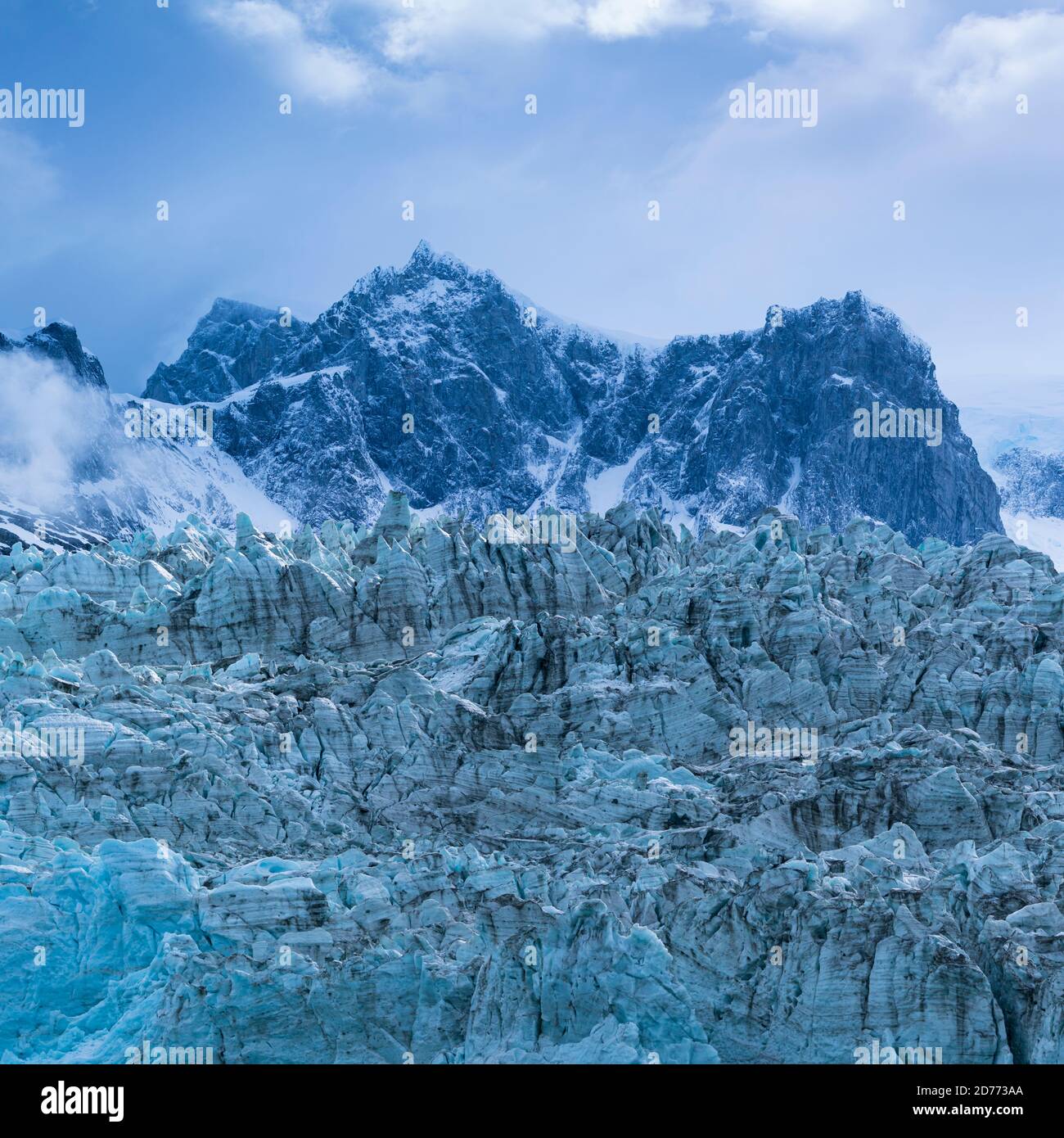 Ghiacciaio di Pia, catena montuosa di Darwin, canale di Beagle, Arcipelago di Tierra del Fuego, Magallanes e Regione dell'Antartide Cilena, Cile, Sud America, Amer Foto Stock