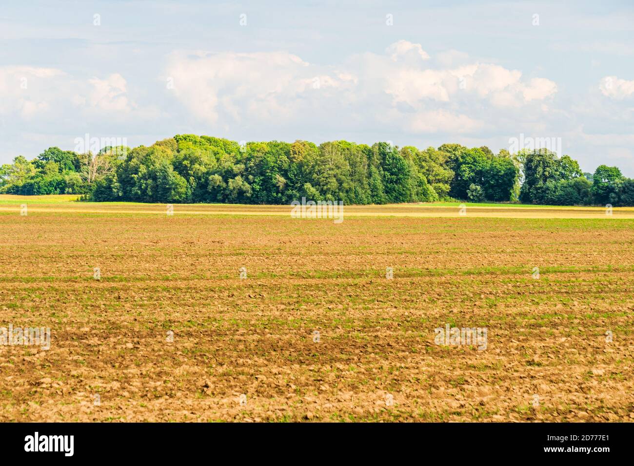Campo di campagna. Paesaggio panoramico agricolo. Clima soleggiato e nuvoloso Foto Stock