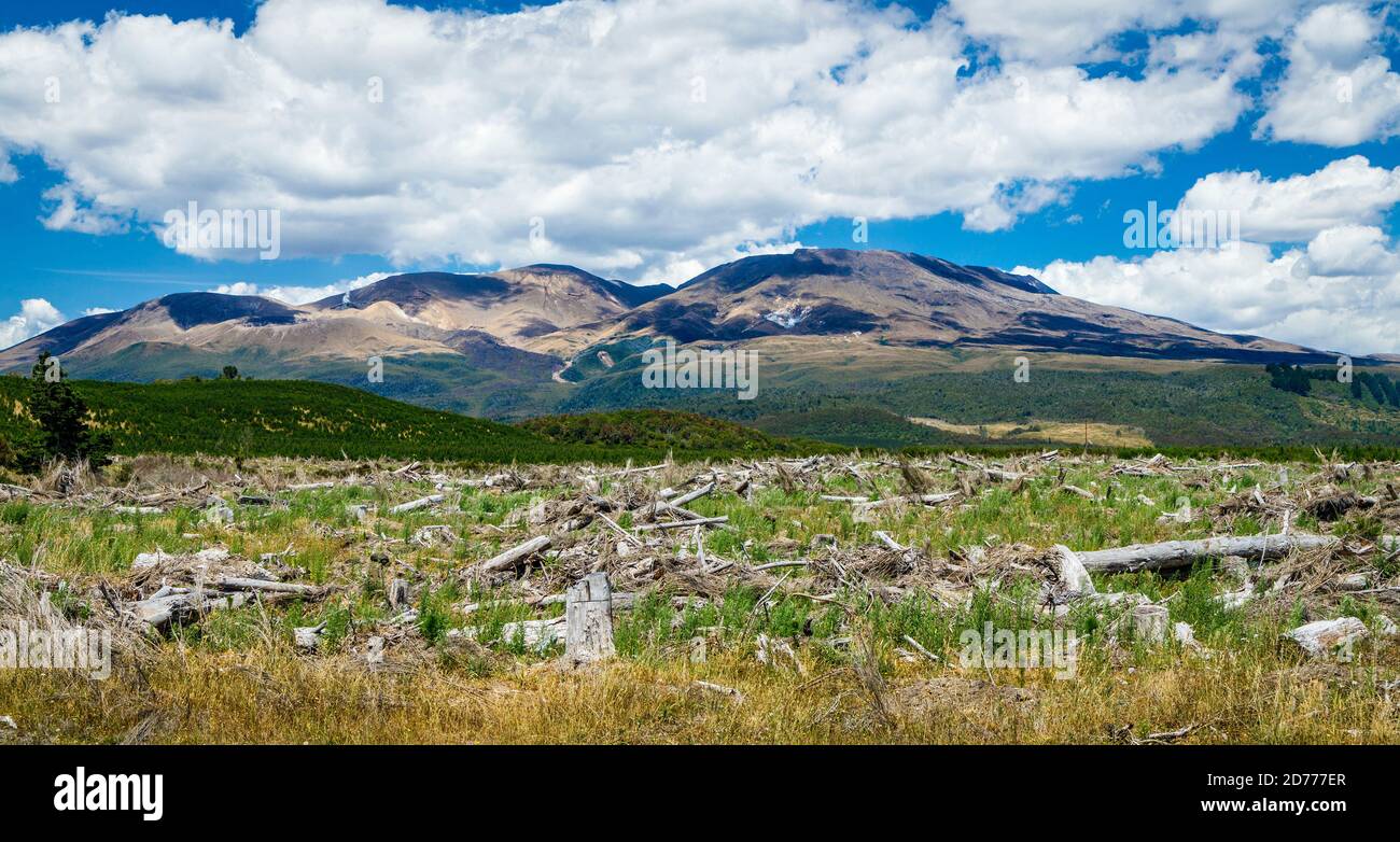 Parte del Parco Nazionale di Tongariro sull'Isola del Nord, Nuova Zelanda. Foto Stock