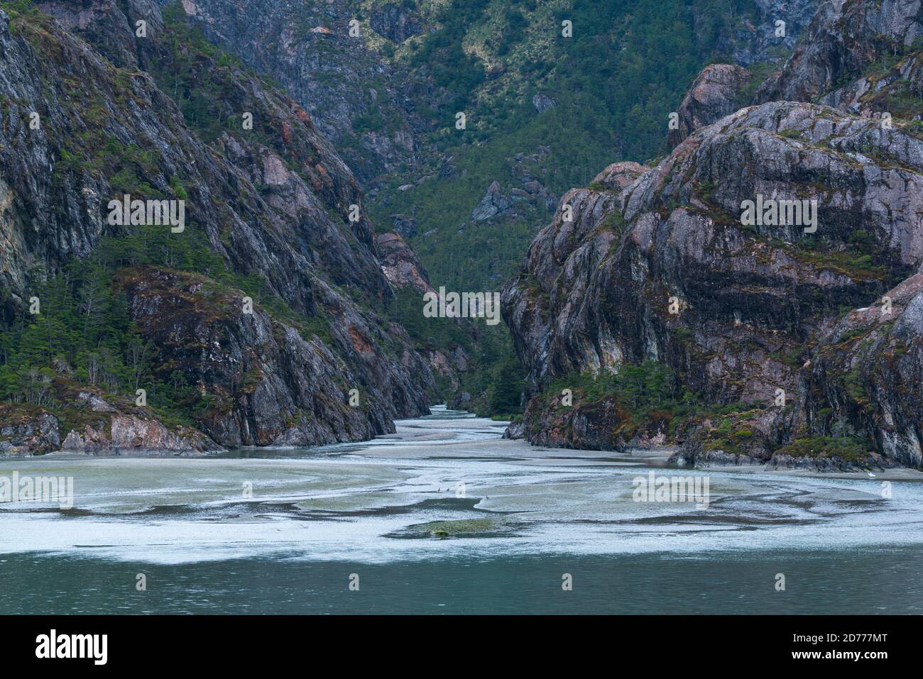 Foresta Magellanica, seno de Agostini, canale Beagle, catena montuosa Darwin, Parco Nazionale Alberto de Agostini, Arcipelago Tierra del Fuego, Magallane Foto Stock