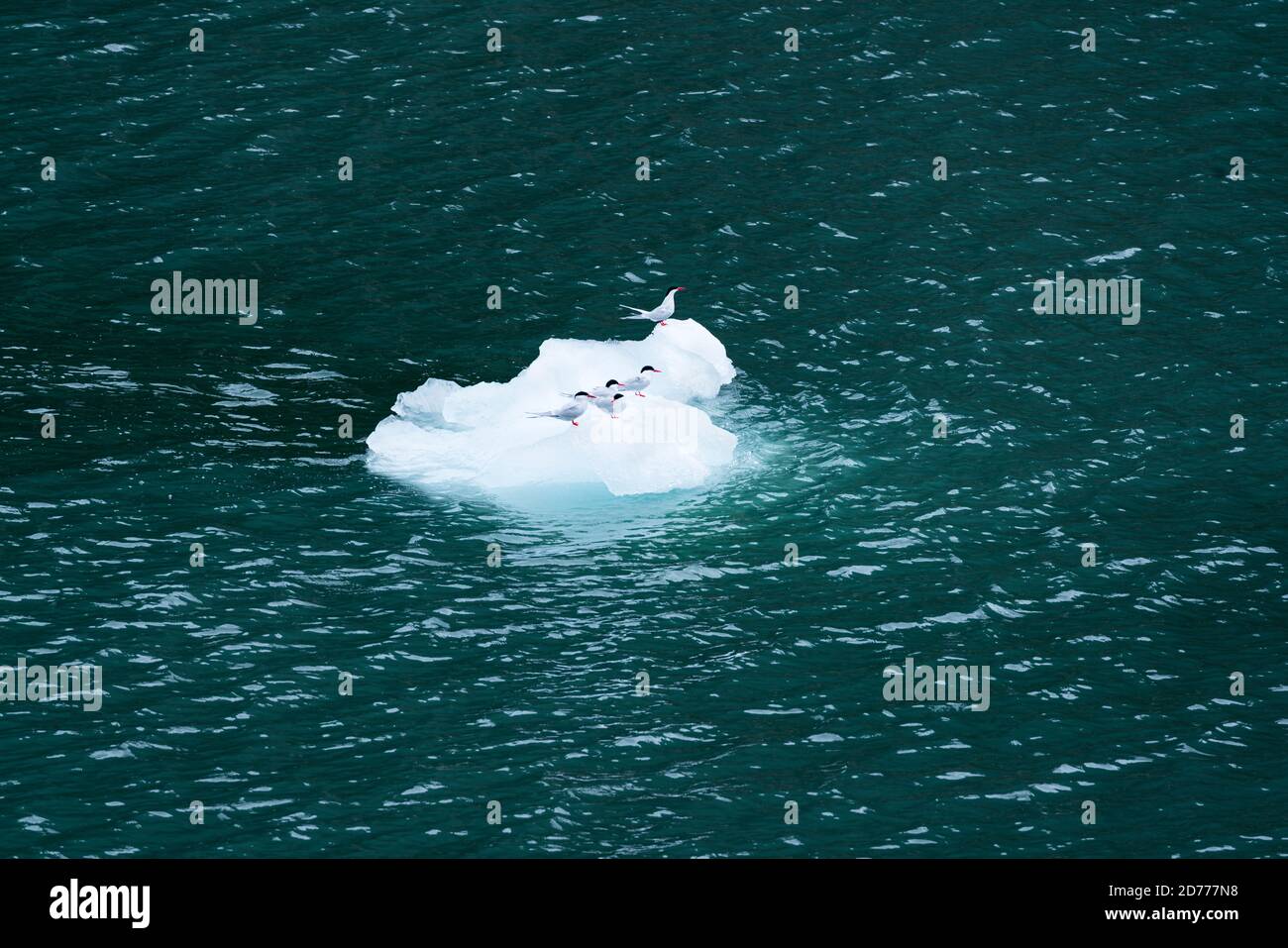 Seno de Agostini, canale di Beagle, catena montuosa di Darwin, Parco Nazionale Alberto de Agostini, Arcipelago Tierra del Fuego, Magallanes e Antar Cilena Foto Stock