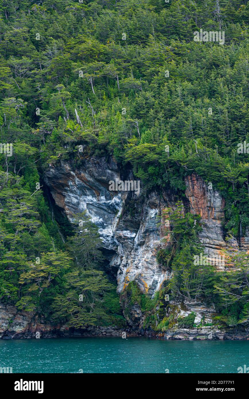 Foresta Magellanica, seno de Agostini, canale Beagle, catena montuosa Darwin, Parco Nazionale Alberto de Agostini, Arcipelago Tierra del Fuego, Magallane Foto Stock