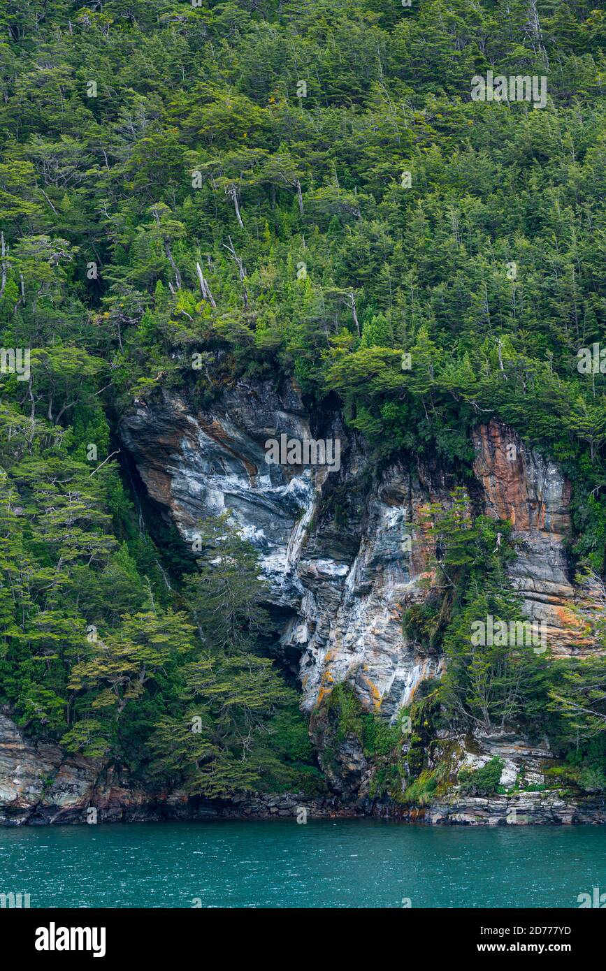 Foresta Magellanica, seno de Agostini, canale Beagle, catena montuosa Darwin, Parco Nazionale Alberto de Agostini, Arcipelago Tierra del Fuego, Magallane Foto Stock