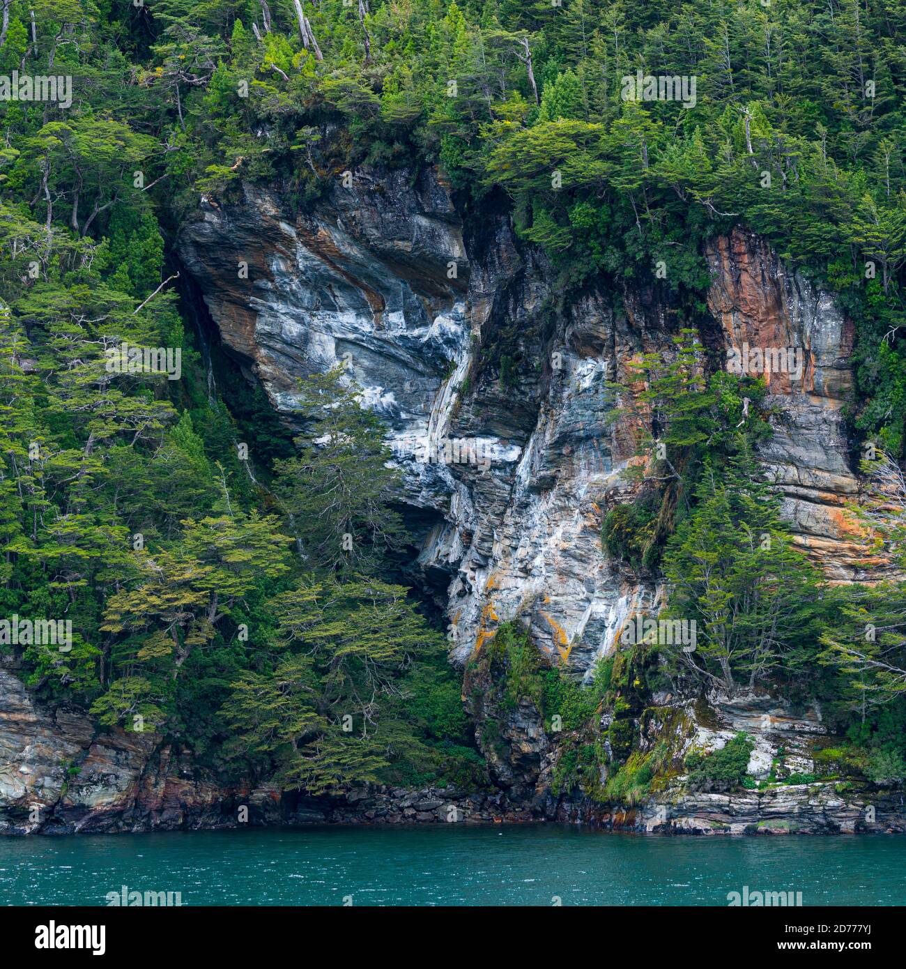 Foresta Magellanica, seno de Agostini, canale Beagle, catena montuosa Darwin, Parco Nazionale Alberto de Agostini, Arcipelago Tierra del Fuego, Magallane Foto Stock
