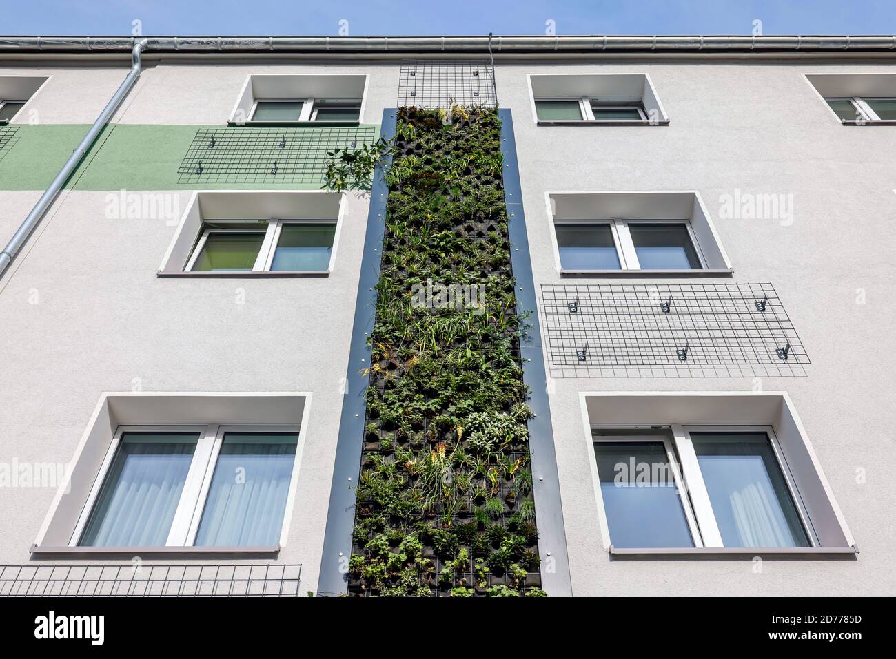 Essen, Ruhr Area, Renania Settentrionale-Vestfalia, Germania - facciata a parete che si verdi in case appena riorganizzate del Allbau Wohnungsbaugesellschaft a. Foto Stock