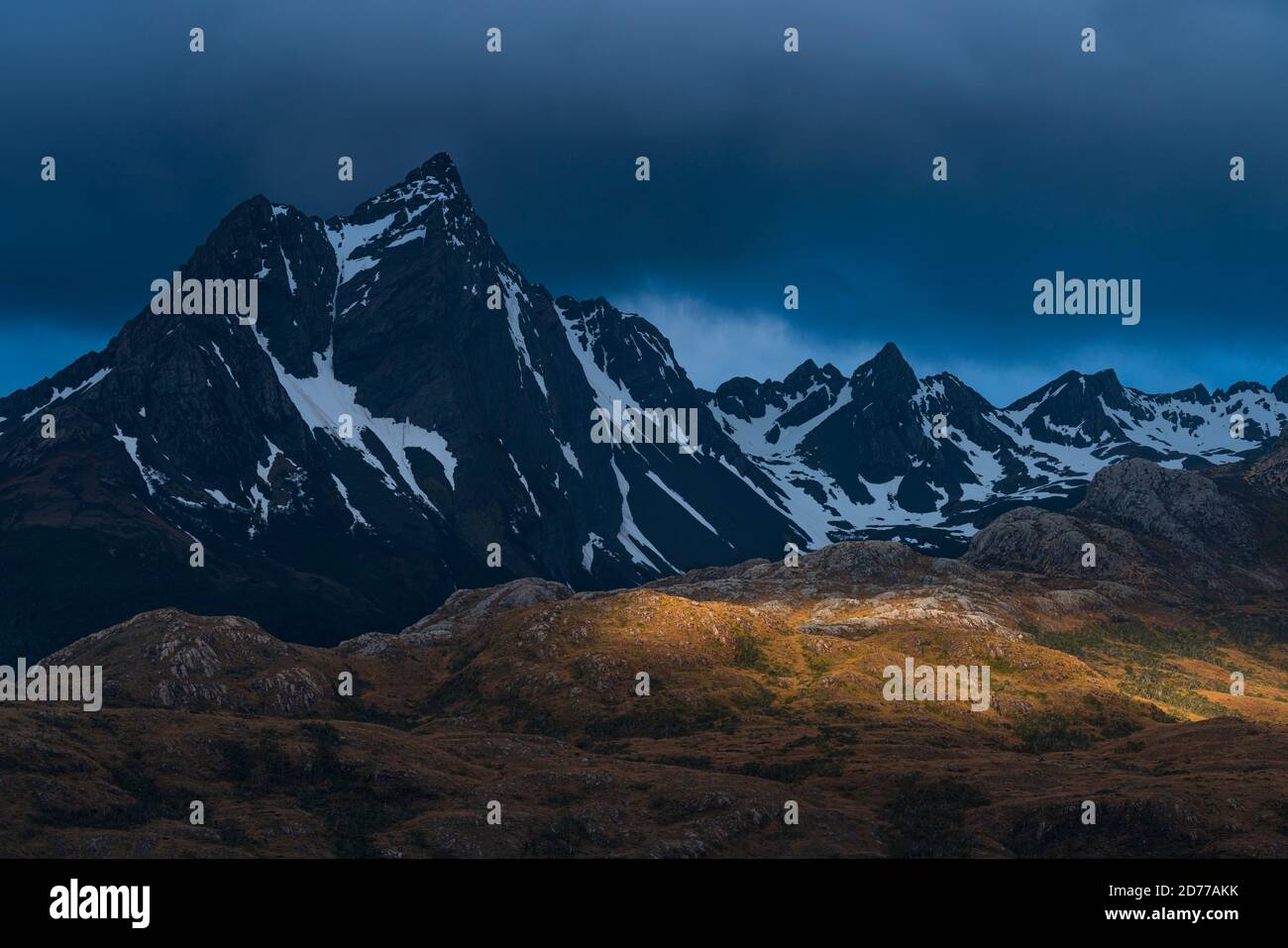 Foresta Magellanica, canale di Beagle, catena montuosa di Darwin, Parco Nazionale Alberto de Agostini, Arcipelago Tierra del Fuego, Magallanes e Ana Cilena Foto Stock