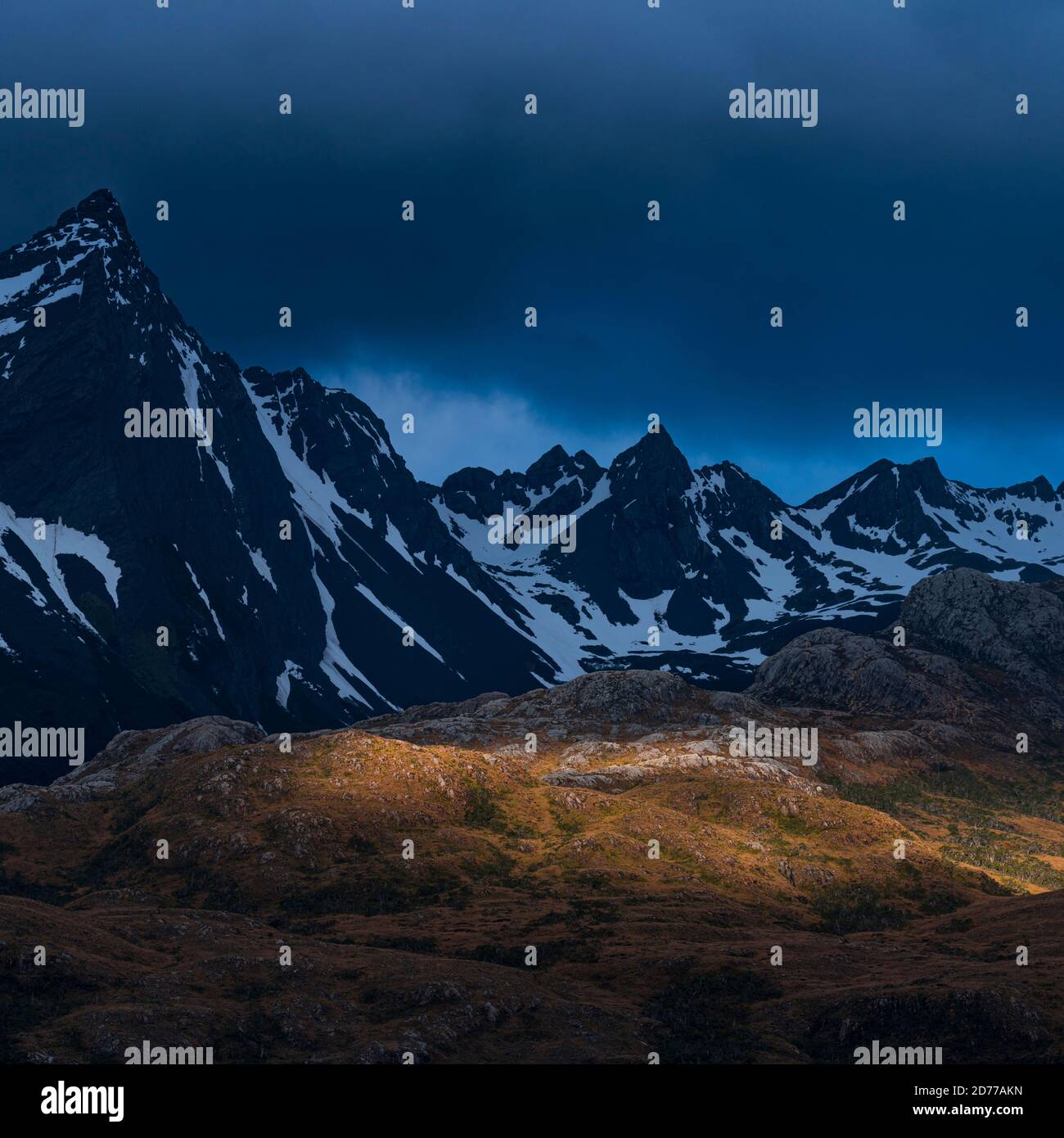 Foresta Magellanica, canale di Beagle, catena montuosa di Darwin, Parco Nazionale Alberto de Agostini, Arcipelago Tierra del Fuego, Magallanes e Ana Cilena Foto Stock
