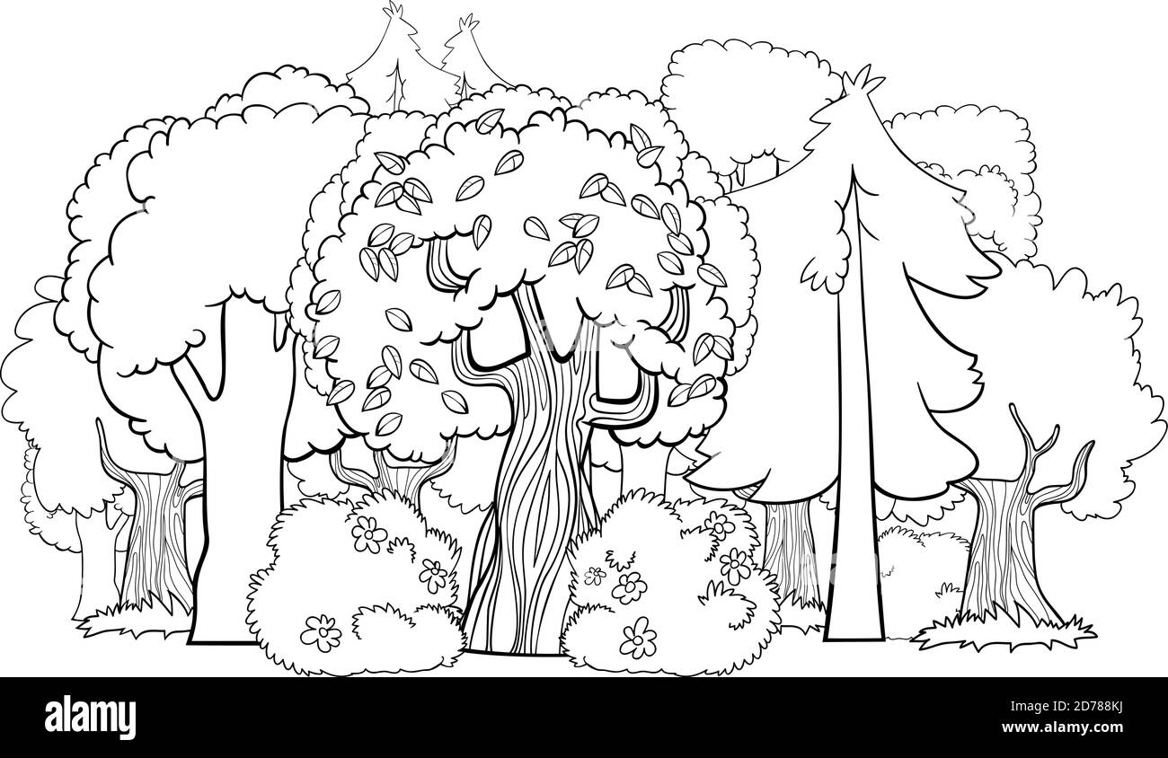 Cartoon bianco e nero Illustrazione di foresta mista con deciduo E pagine di libro di colori di alberi di conifere Illustrazione Vettoriale
