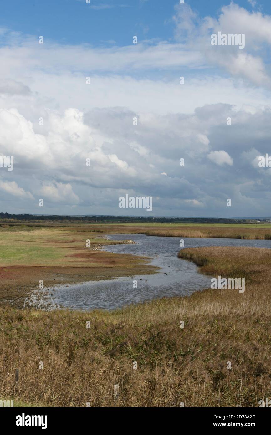 Farlington Marshes Riserva Naturale locale, vista del lago, alta marea torrefazione per uccelli guado e uccelli selvatici. Ottobre. Alta marea. Hampshire, Regno Unito Foto Stock
