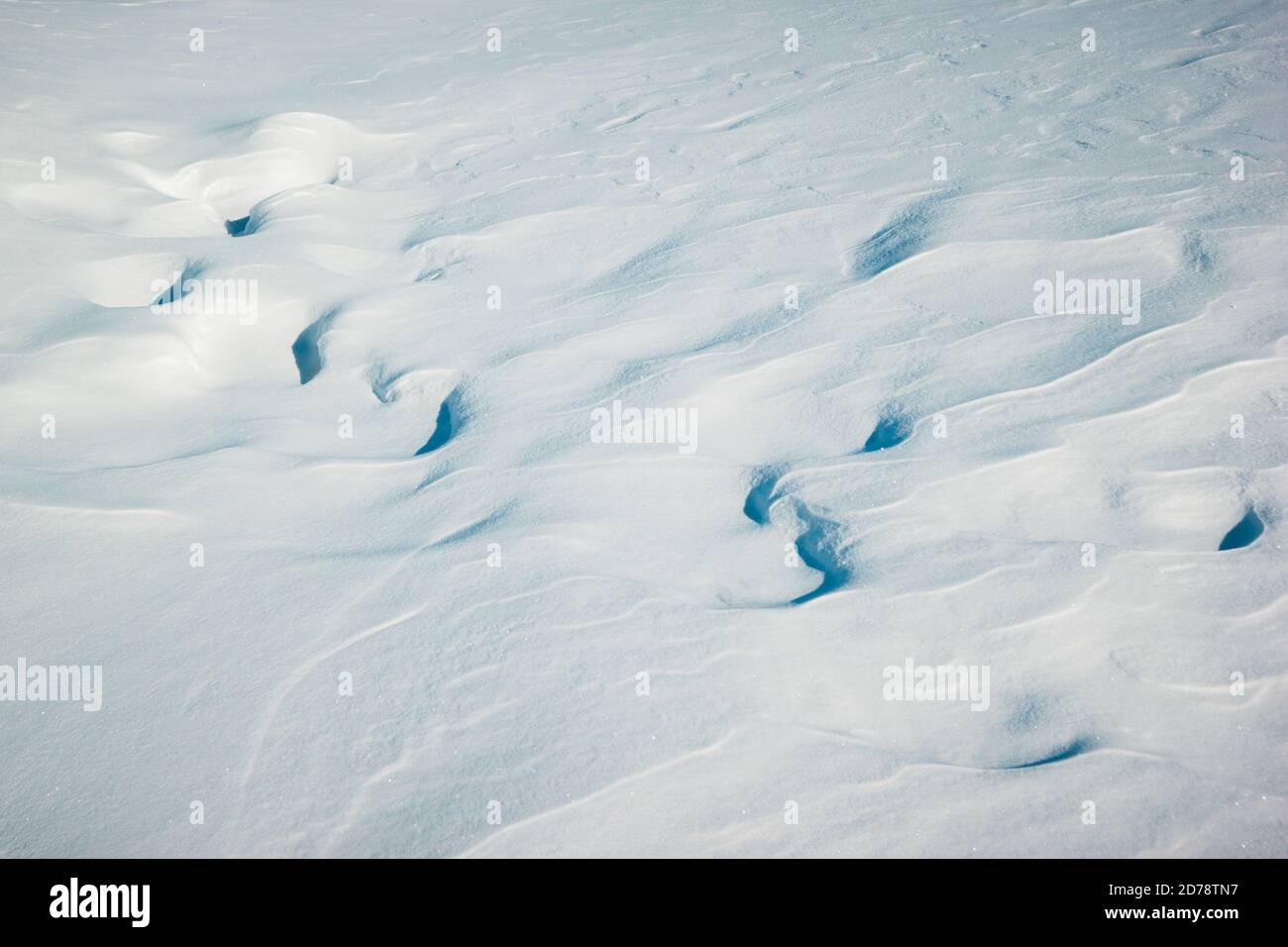 Inverno bianco neve sfondo con neve fresca deriva dopo la bizzarda Foto Stock