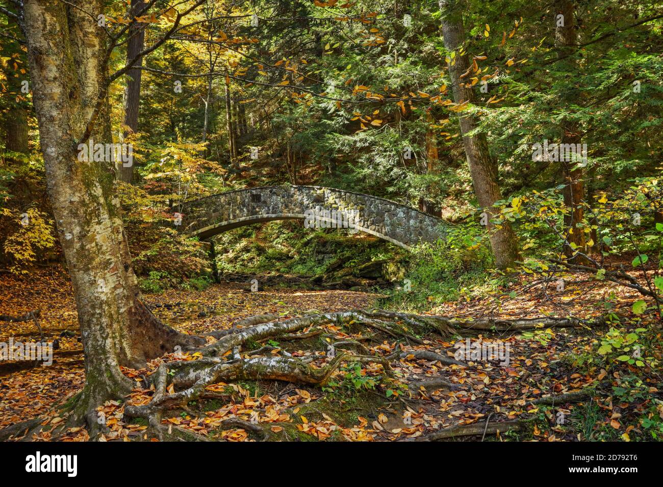 Ponte pedonale in pietra vicino a Lower Falls. Vista autunnale lungo il sentiero della gola inferiore presso Old Man's Cave, Hocking Hills state Park, Logan, Ohio, USA. Foto Stock