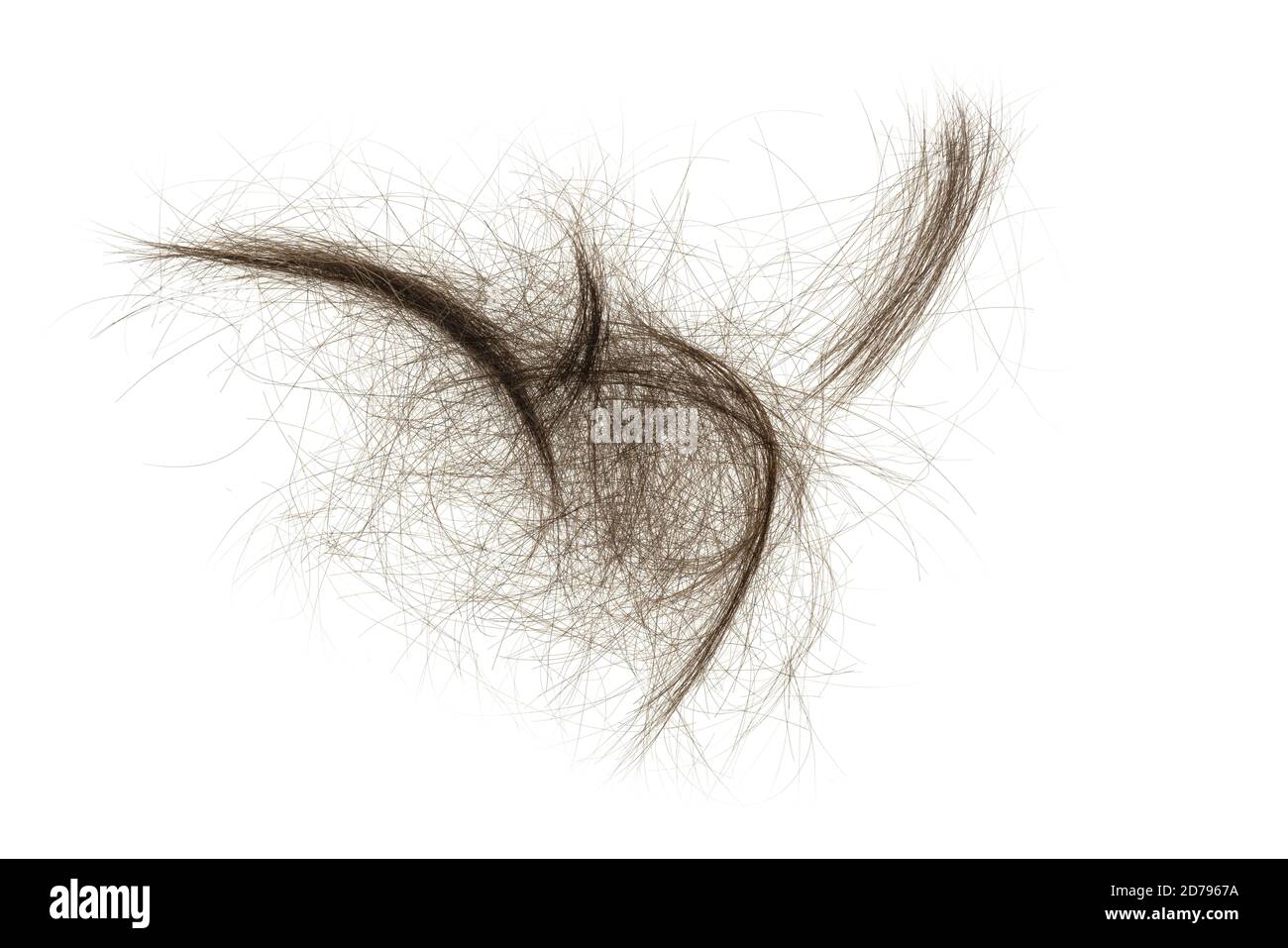 Fascio di capelli isolato su sfondo bianco. Ciuffo da vicino Foto Stock