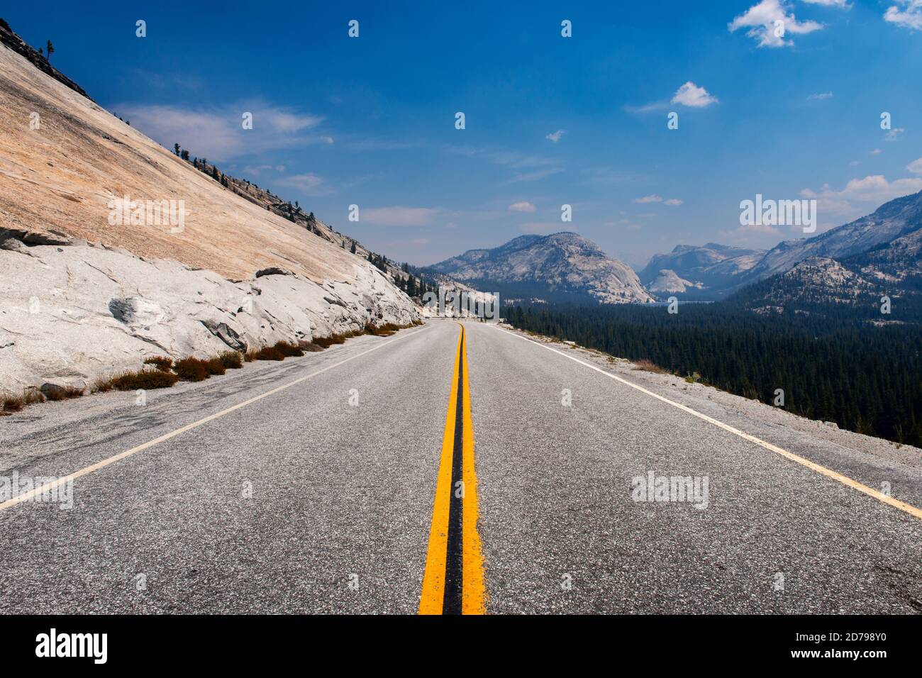 La Tioga Road (autostrada 120) che conduce al Lago Tenaya presso il Parco Nazionale di Yosemite, California, USA; concetto di viaggio su strada. Foto Stock