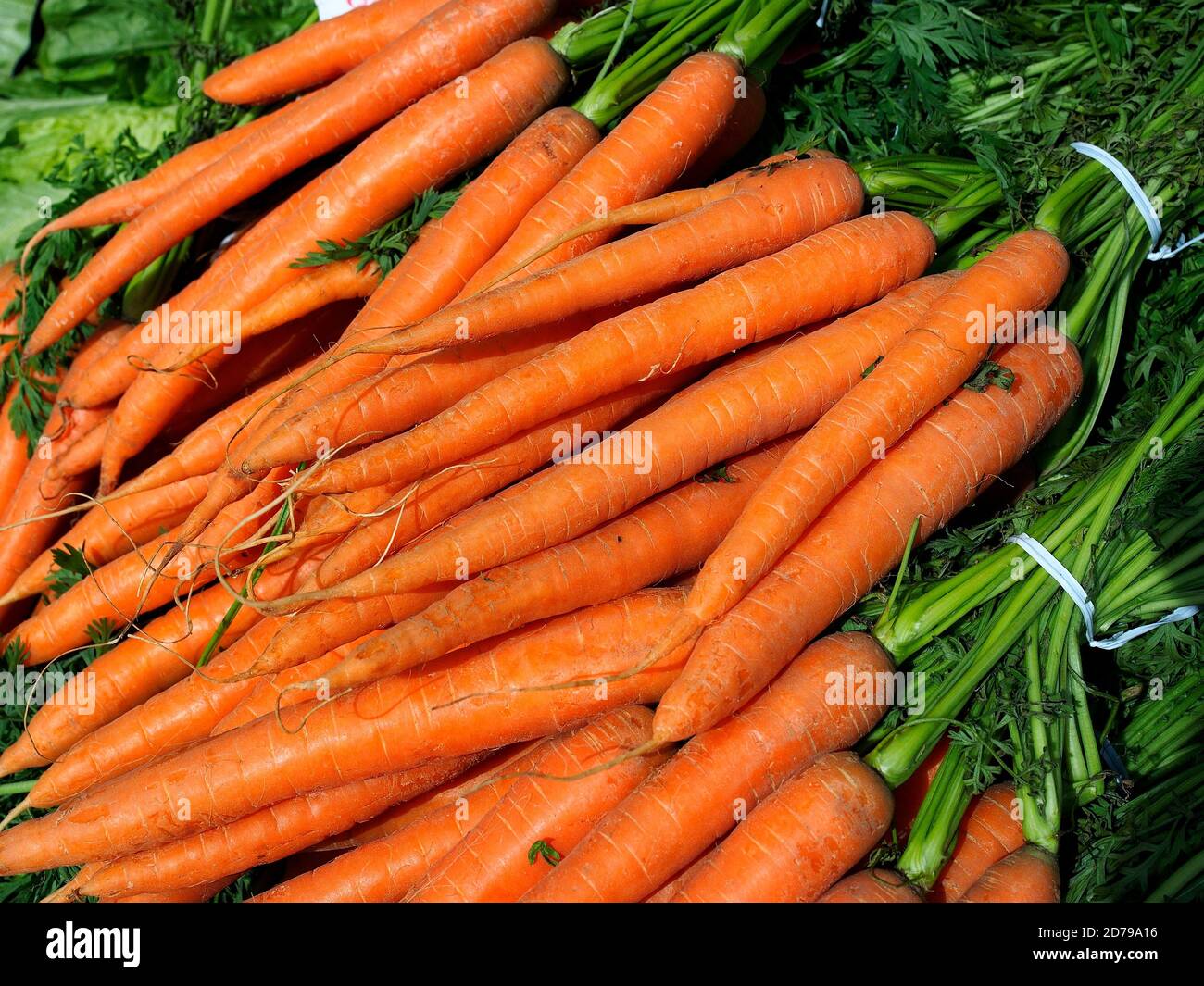 Cibo. Carote arancioni per in un mercato all'aperto. Foto Stock