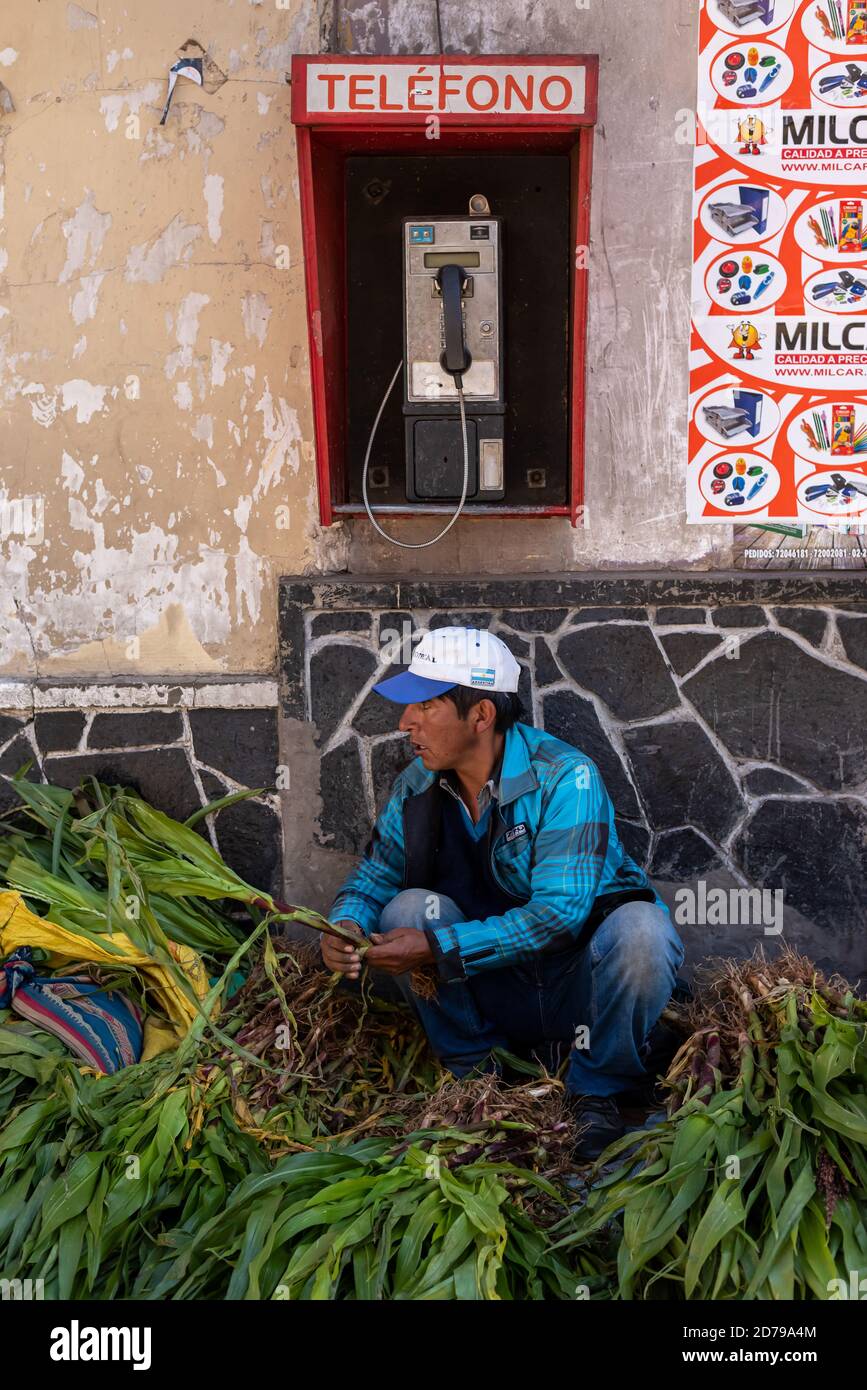 24 febbraio 2020: Uomo che vende piante di mais sulla strada. POTOS», Bolivia Foto Stock