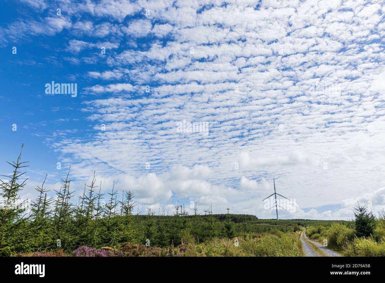 Cielo di Mackrel, nuvole sopra le turbine eoliche a Knockduff windfarm vicino a Bweeng, contea di Cork, Irlanda Foto Stock