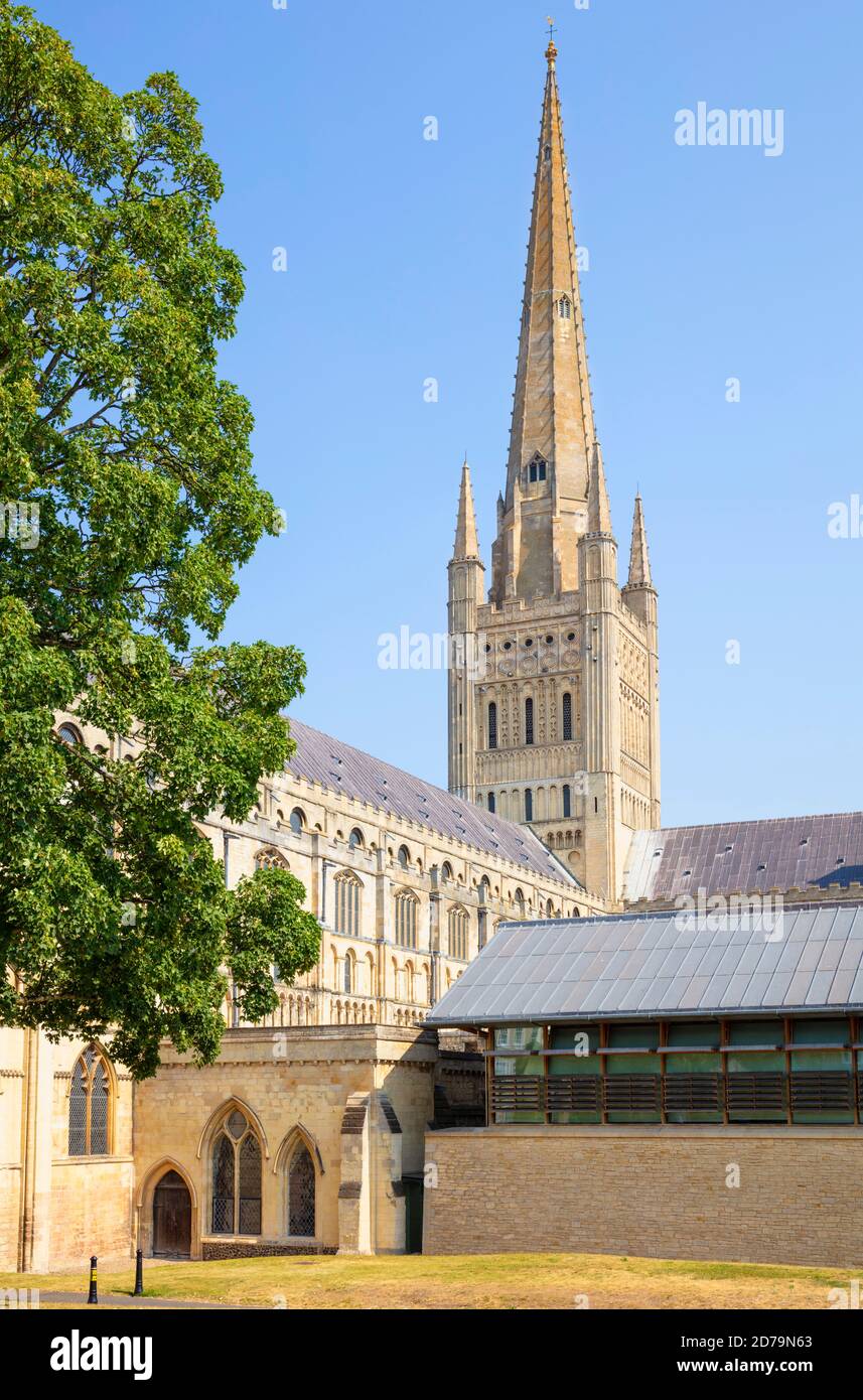 Cattedrale di Norwich nuovo refettorio e osteria a Norwich cattedrale e guglia Norwich Norfolk East Anglia Inghilterra Regno Unito Europa Foto Stock