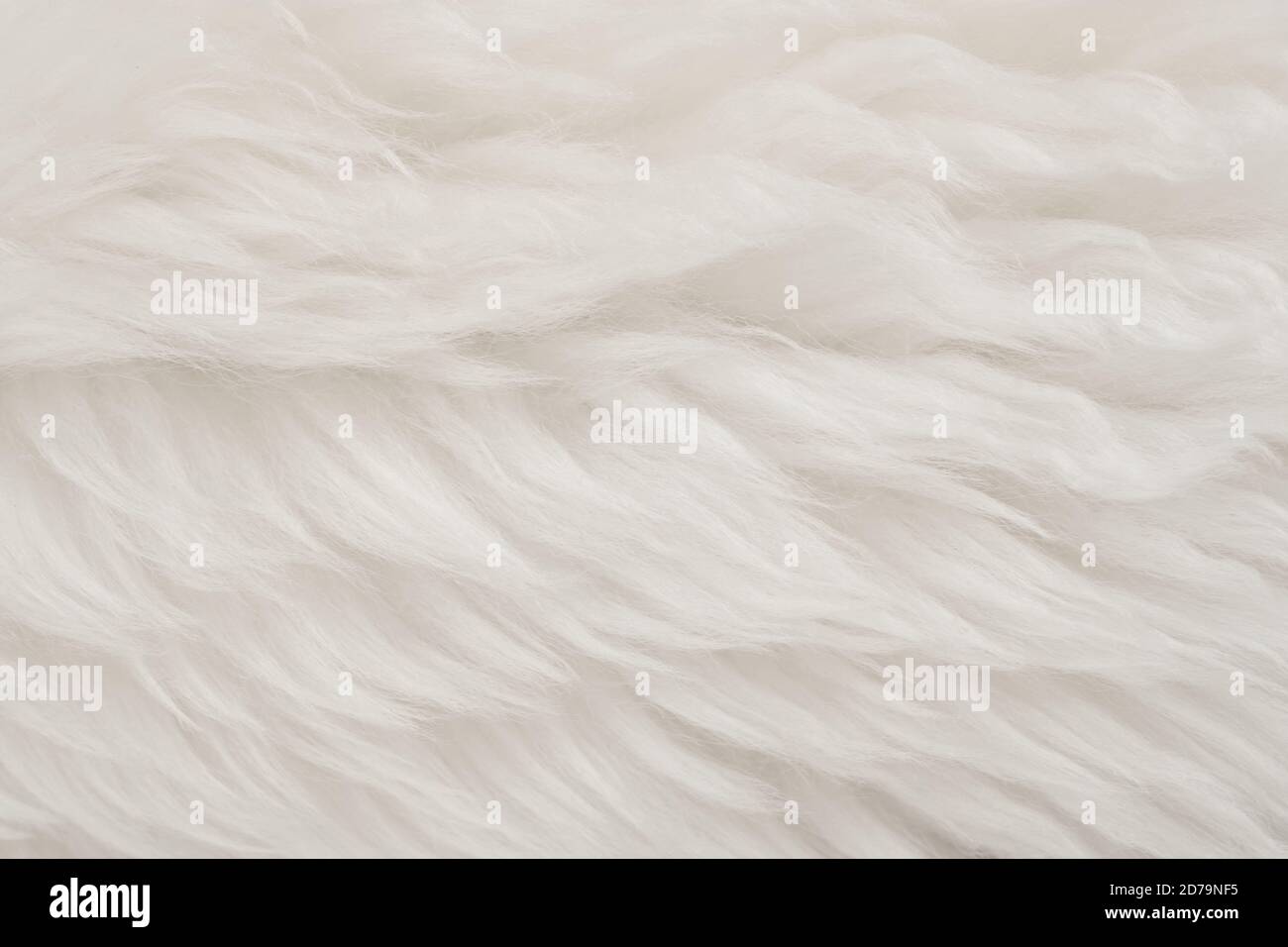 Lana bianca vera con fondo beige. Lana di pecora naturale color crema chiaro. Cotone morbido senza cuciture, tessuto di morbida pelliccia per i designer Foto Stock