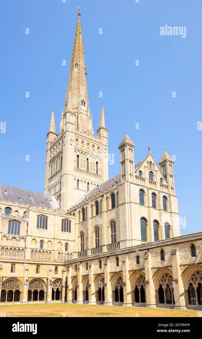 Norwich Cathedral Cloisters South Transept e spire of Norwich Cathedral Norwich Norfolk East Anglia Inghilterra GB Europa Foto Stock