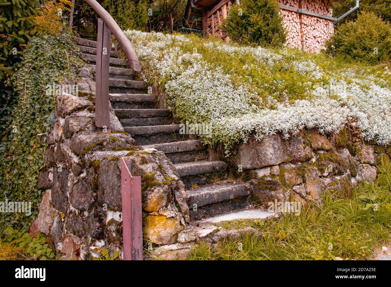 Vecchie scale in cemento in autunno in Slovacchia, Europa Foto Stock
