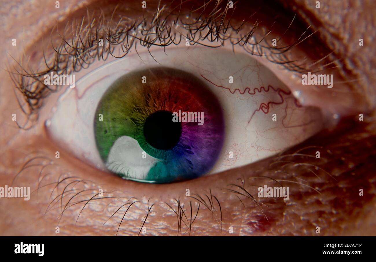 Occhio in macro Foto Stock