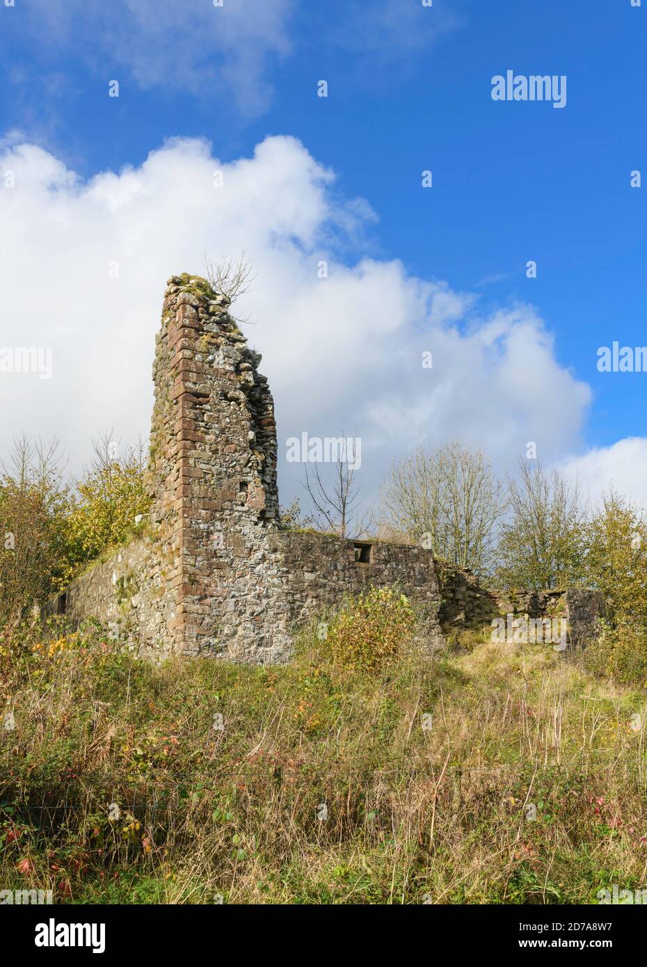 Resti della Torre di Lochwood aka Castello di Lochwood vicino a Moffat Dumfries E Galloway Scozia Foto Stock