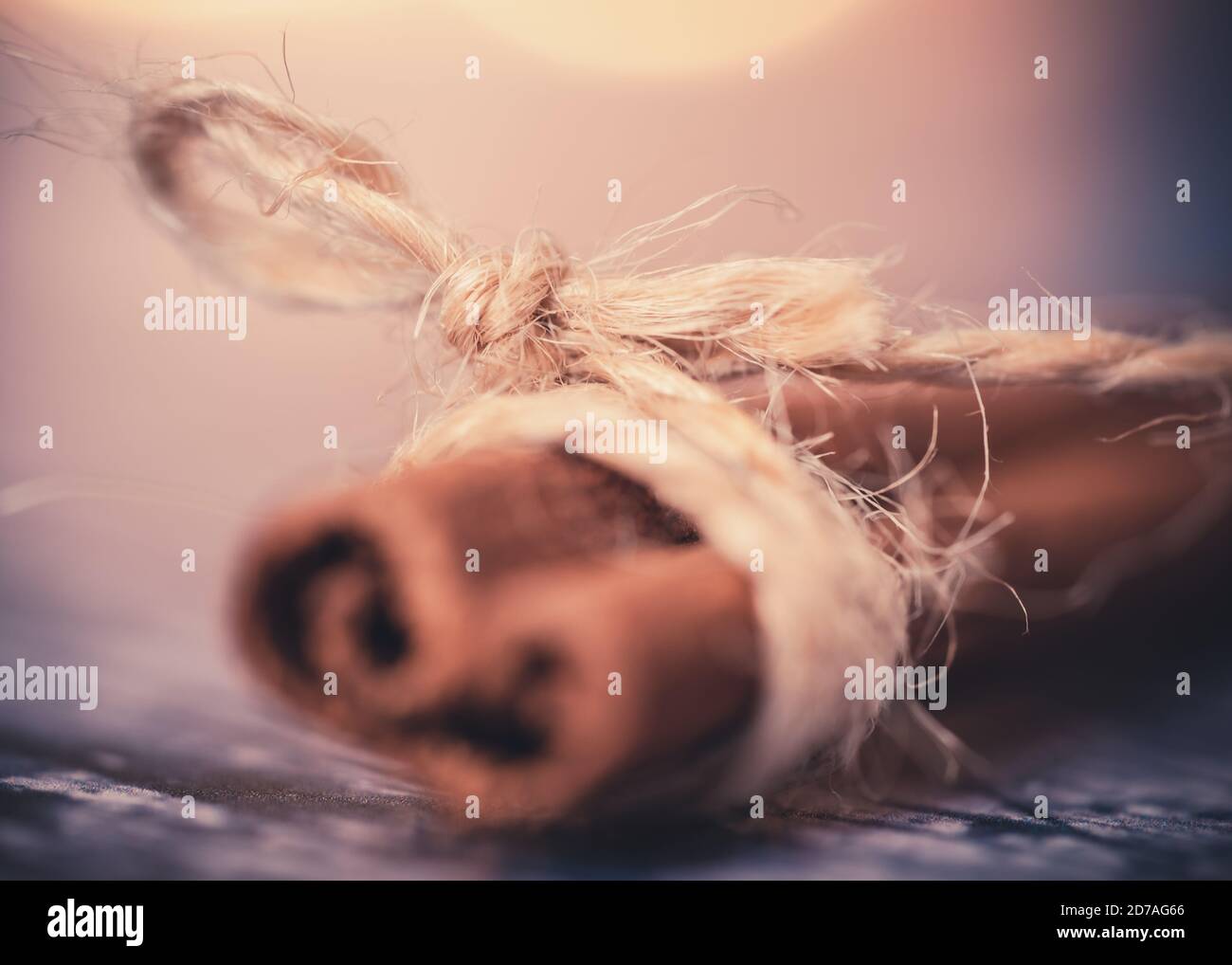 Primo piano di un bastone di cannella intorno al quale è avvolto un filo. Toni autunnali e luce bokeh sullo sfondo. Concetto di vacanze Foto Stock