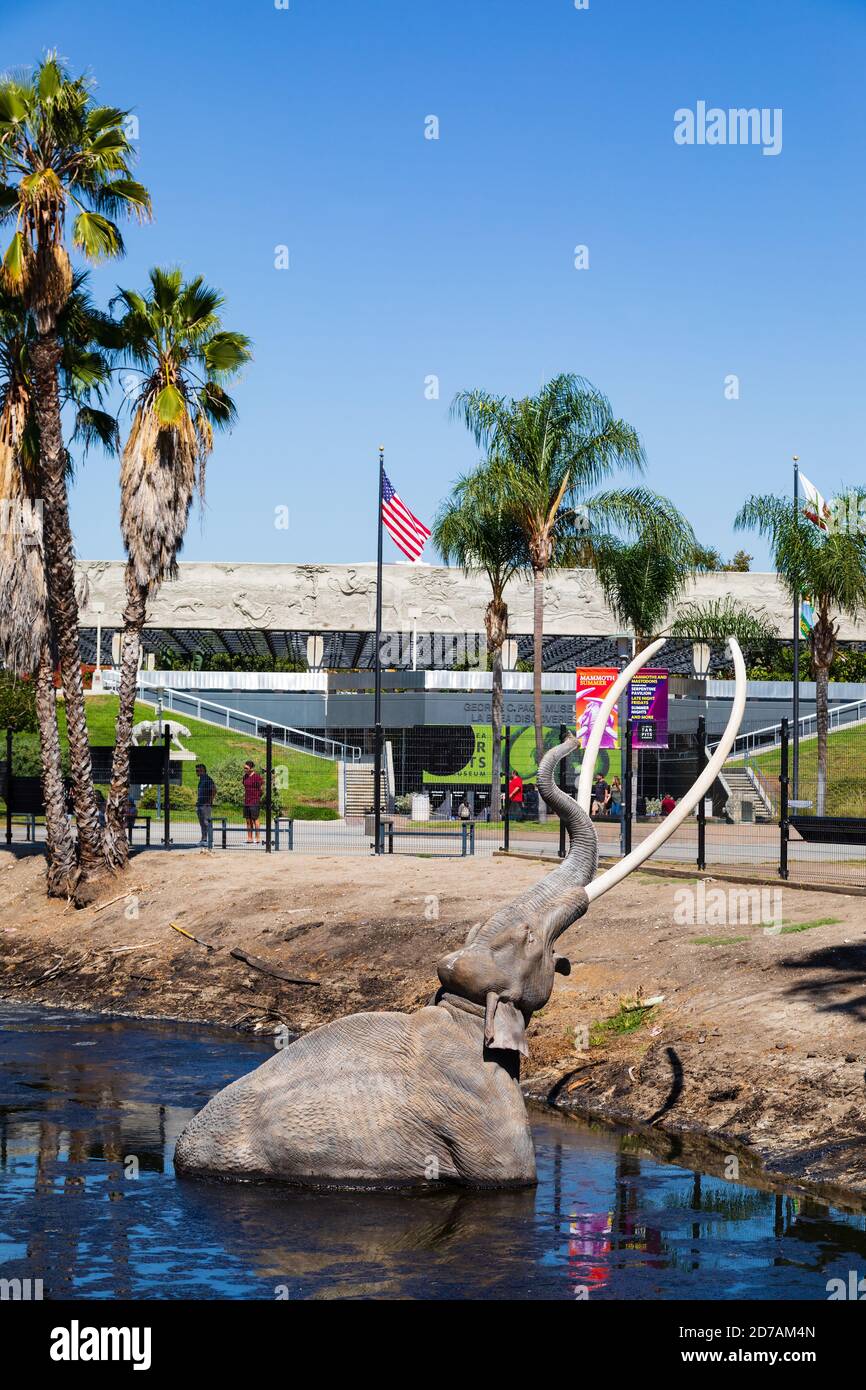 La Brea Tar Pits, attrazione turistica, Los Angeles, California, Stati Uniti d'America, Stati Uniti Foto Stock