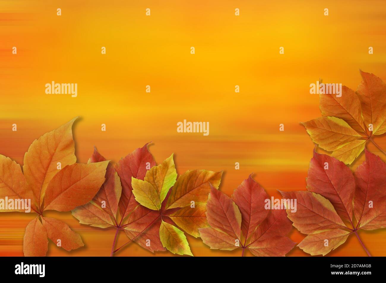 Sfondo autunno. Colori rosso e arancione caduta foglie su movimento sfocatura sfondo con spazio di copia per la scrittura. Foto Stock