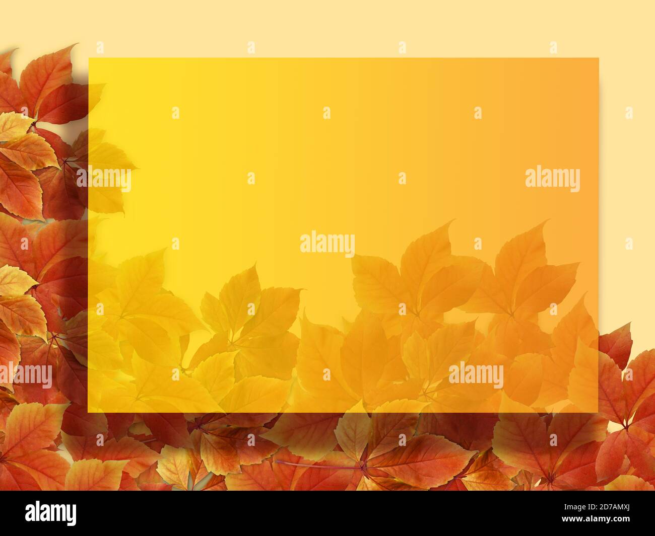 Autunno sfondo. Colori rosso e arancio foglie autunnali con fgiallo incorniciato spazio vuoto per la copia per la scrittura Foto Stock