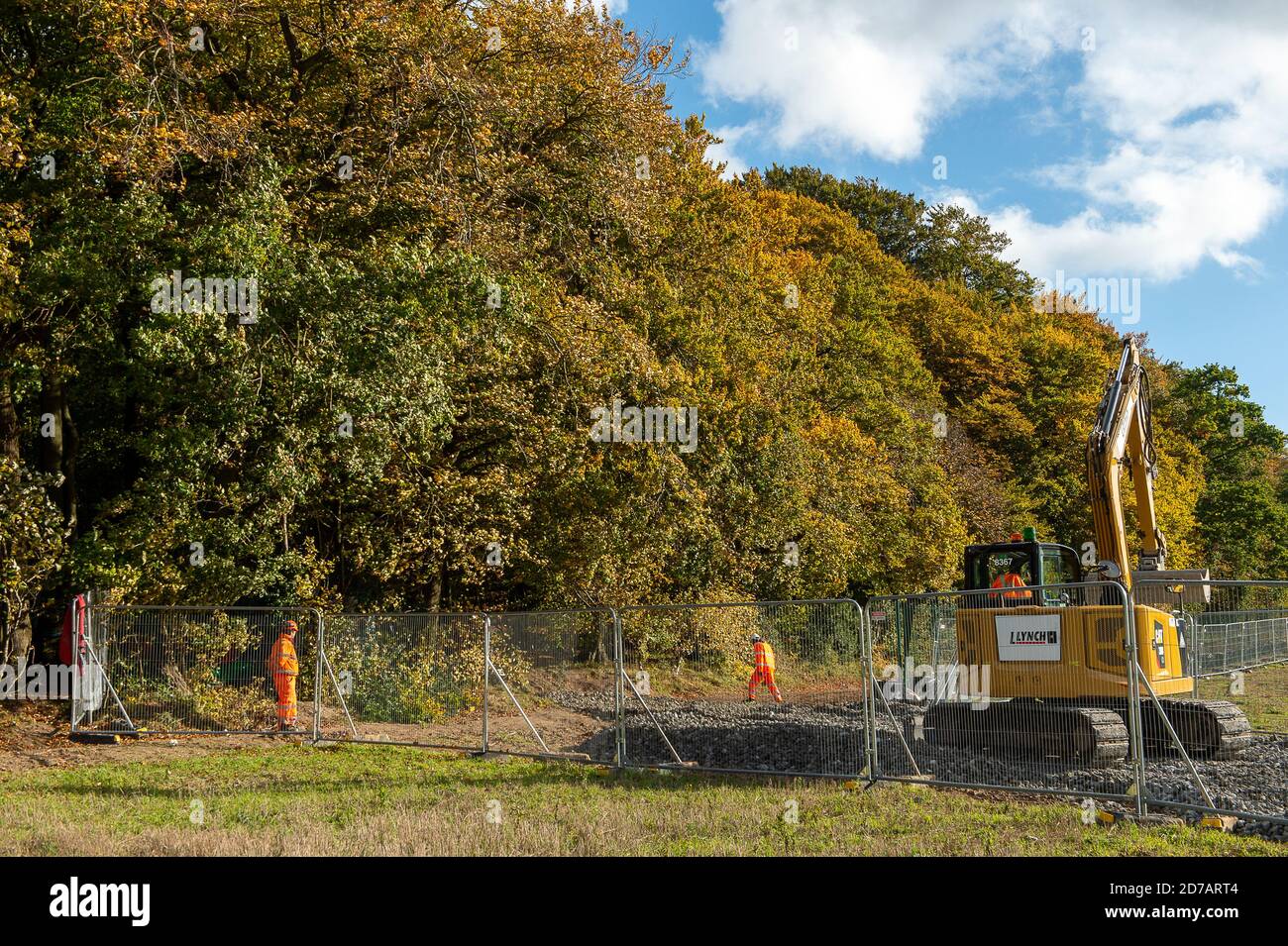 Aylesbury vale, Regno Unito. 20 Ottobre 2020. Lo Studio Legale Leigh Day ha inviato una seconda lettera a HS2 Limited chiedendo loro di interrompere il lavoro a Jones Hill Wood a seguito della scoperta di 'incredibilmente rari' barbastelle pipistrelli negli antichi boschi.HS2 hanno già causato disturbo nei boschi e stanno ora costruendo una strada di accesso nel bosco. Se HS2 continua a lavorare in questi boschi senza la necessaria licenza, potrebbe commettere un reato penale ai sensi del s43 conservazione degli habitat e delle specie regolamento 2017. Credito: Maureen McLean/Alamy Foto Stock