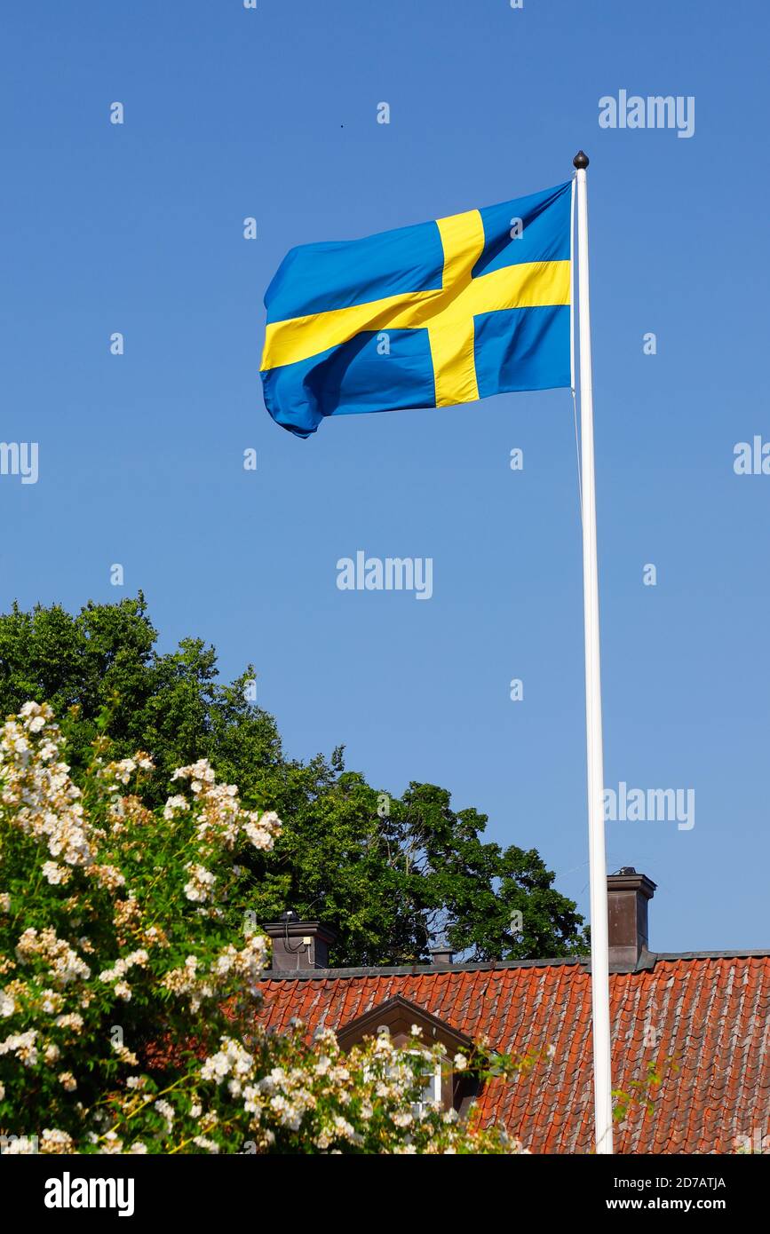 Bandiera svedese issata durante la stagione estiva sventolando contro un cielo blu chiaro. Foto Stock