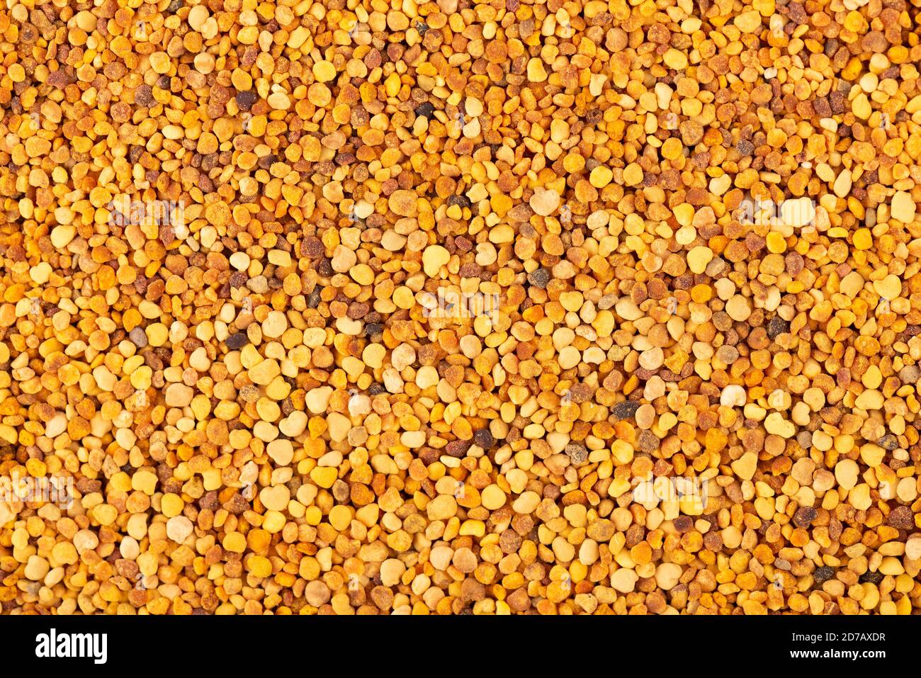 Fiore polline grani sfondo. Mucchio di polline di api o perga. Foto Stock