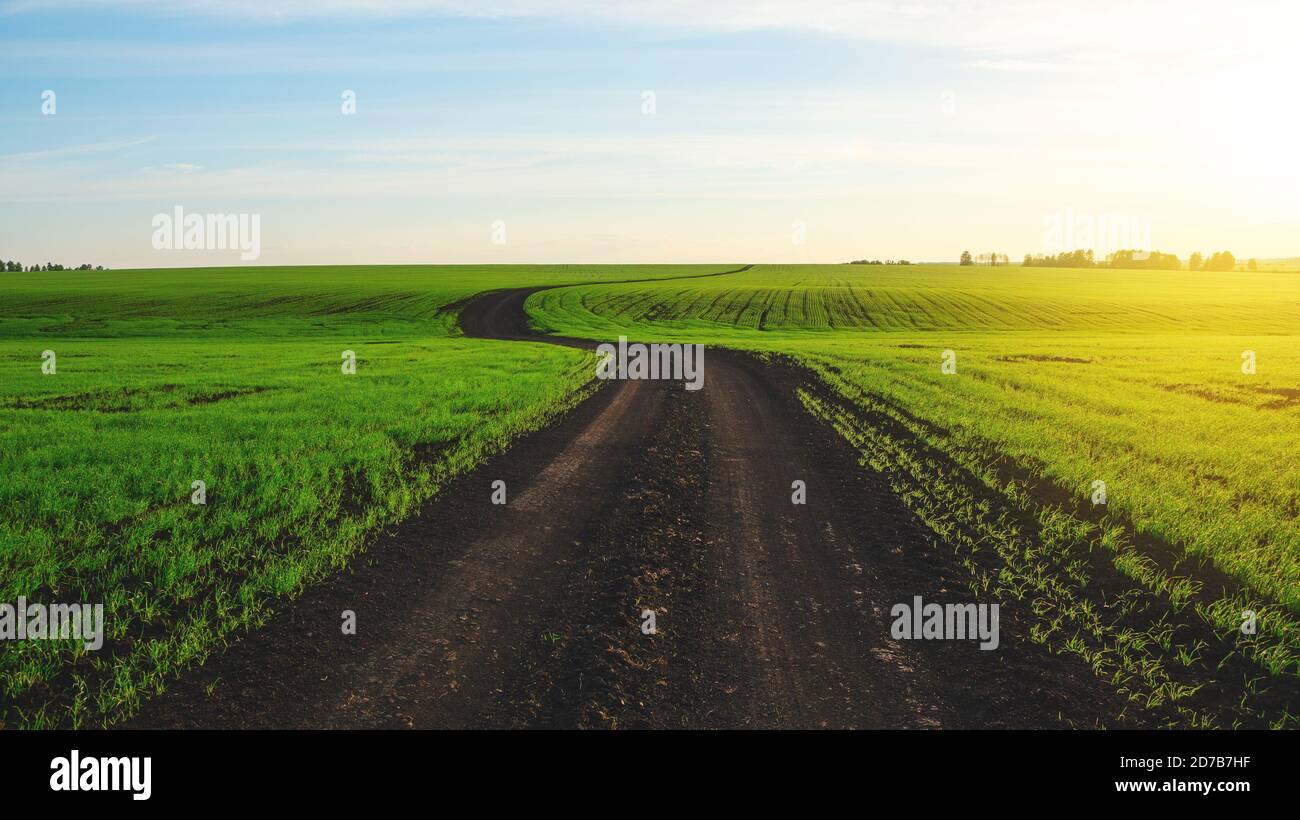 Soleggiato paesaggio primaverile con strada di campagna che passa attraverso i verdi campi agricoli al tramonto. Foto Stock