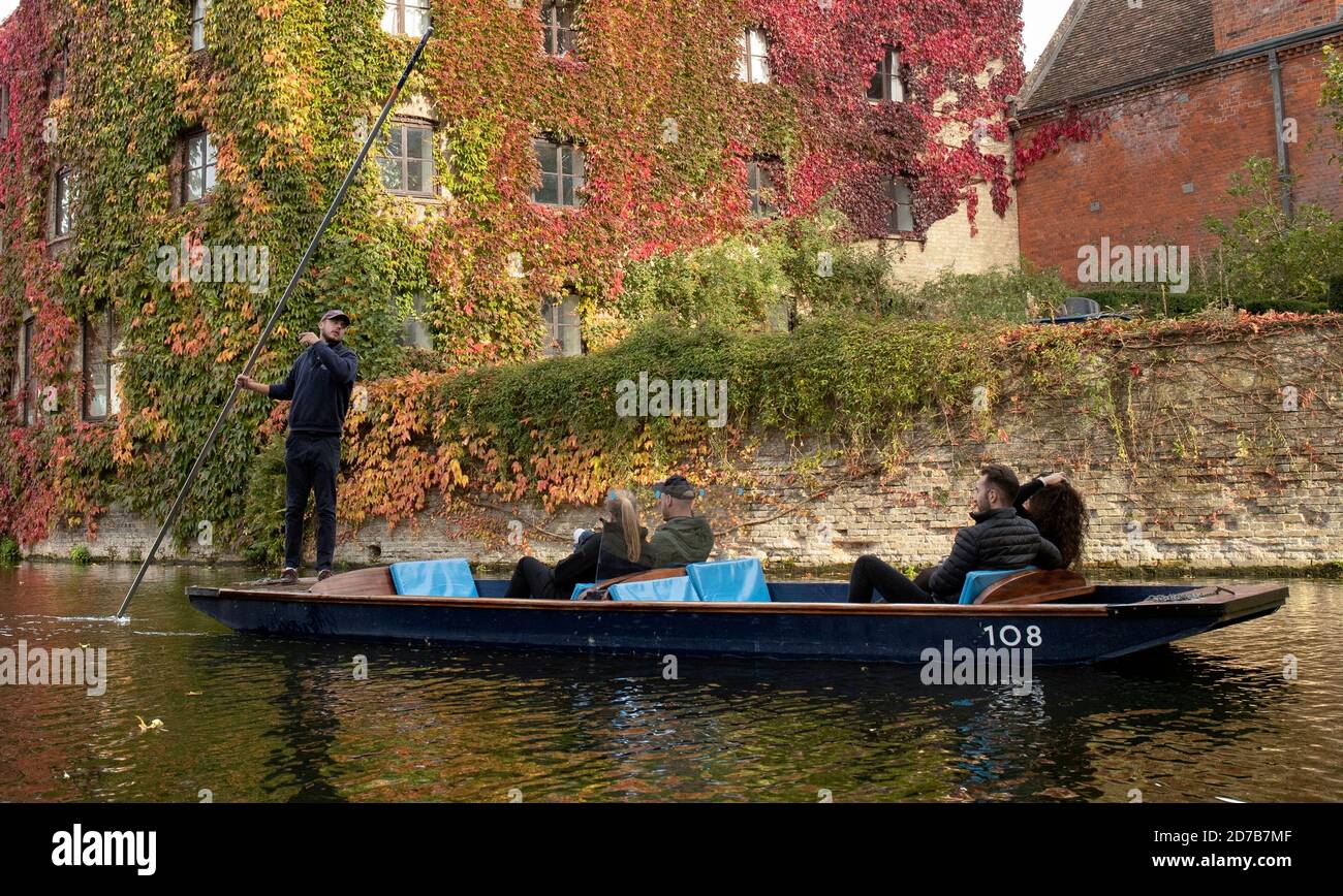 Cambridge Inghilterra Lunedi 19 ottobre 2020. Un pugno passa il colorato Creeper Virginia che cresce sul lato del St Johns College lungo il fiume Cam i Foto Stock