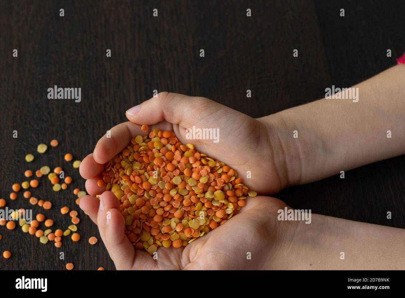 Lancette che tengono una porzione di lenticchie gialle e rosse Foto Stock