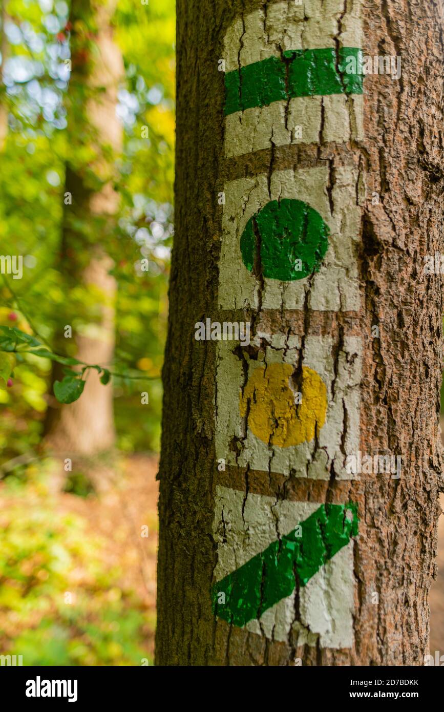 Sentiero escursionistico di Wotschowska lungo Bütgerfließ da Lübbenau a Wotschowska isola, Spreewald, Oberspreewald o alta Foresta Sprea, Brandeburgo, Germania orientale Foto Stock