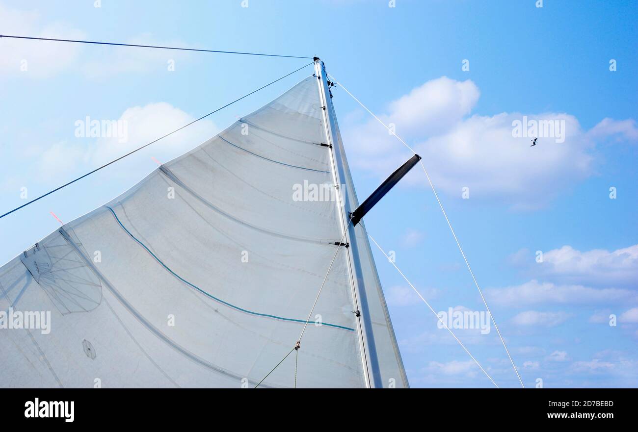 Vela bianca che cattura il vento Foto Stock