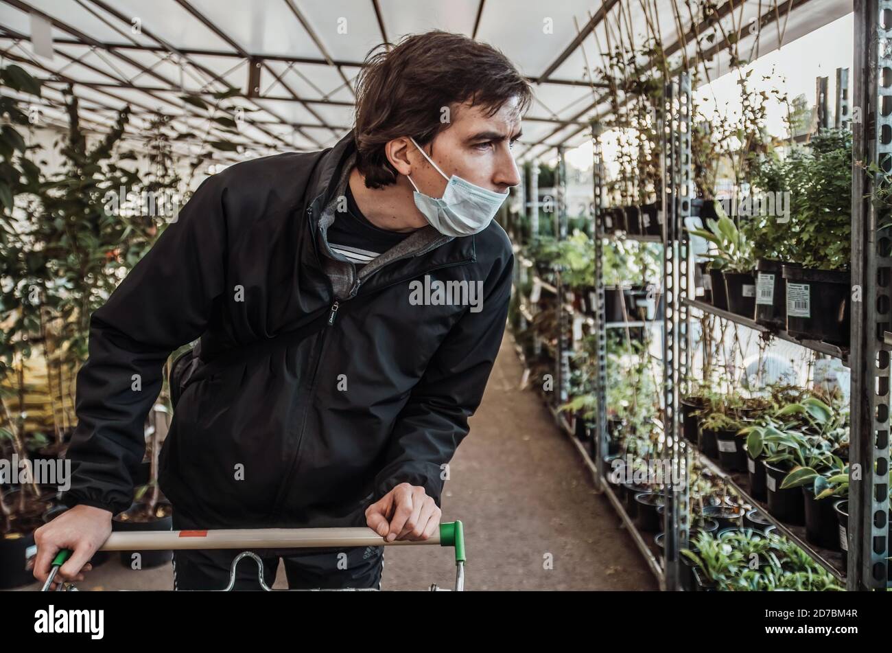 Il cliente nella maschera sta cercando la pianta verde Foto Stock