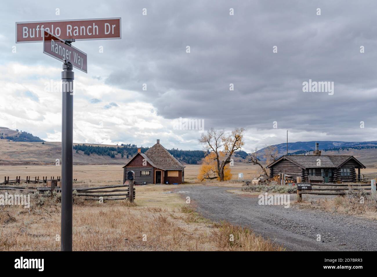 Lamar Buffalo Ranch è uno storico ranch creato per preservare Roaming gratuito American Bison Foto Stock