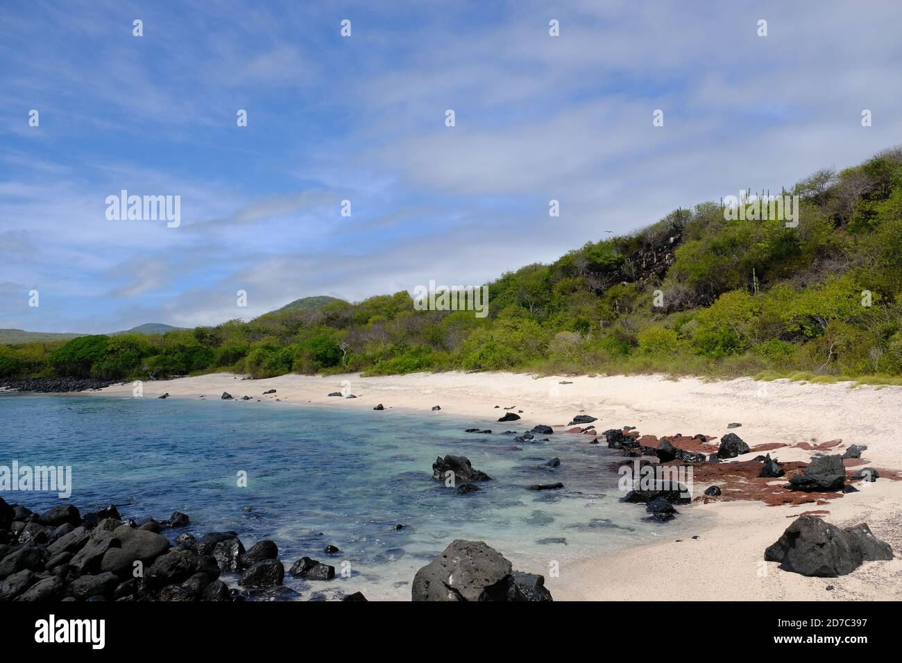 Ecuador Isole Galapagos - Isola di San Cristobal Wildlife Beach Baquerizo - Playa Baquerizo Foto Stock