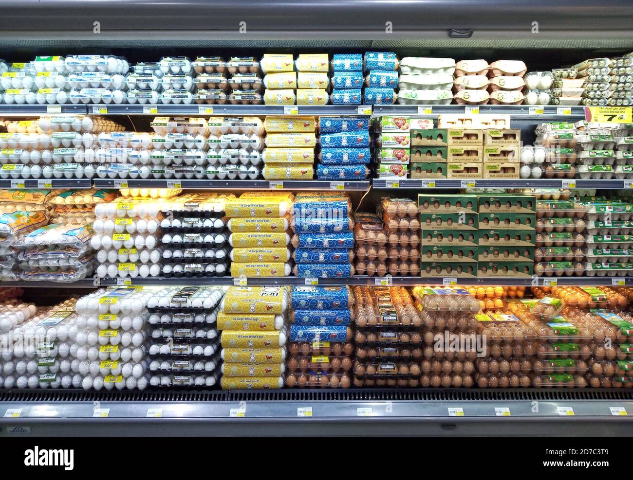 Diverse marche di uova su scaffale in un supermercato. Foto Stock