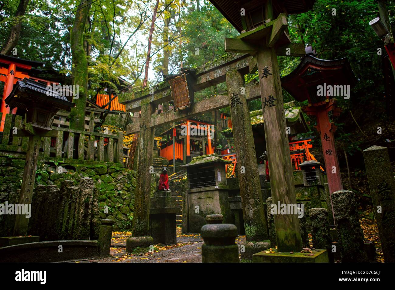 Kyoto/Giappone - 2016 Nov 22 : Antico santuario nella foresta nella stagione autunnale, il verde muschio lo rende fresco e umido. L'atmosfera sembra spaventosa e lo Foto Stock