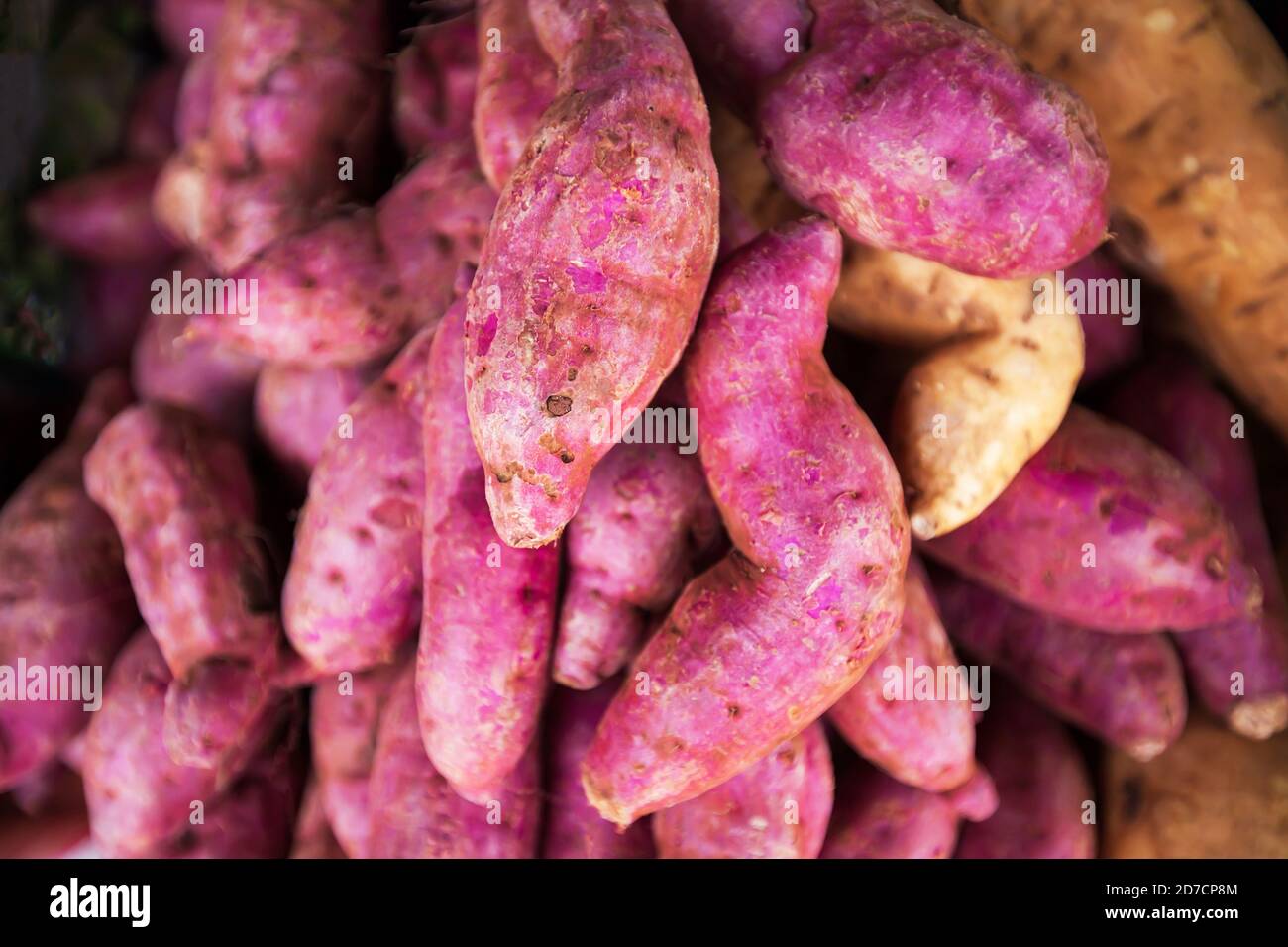 Patate dolci fresche color porpora stack nel mercato locale. Vista dall'alto. Primo piano. Foto Stock