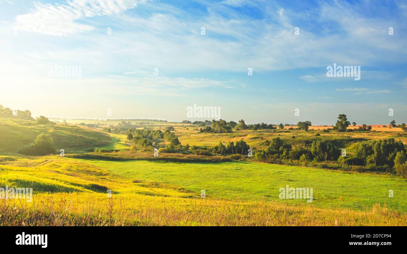 Paesaggio estivo di campagna soleggiato con prati verdi, colline, campi di grano dorato e boschi lontani all'alba. Foto Stock