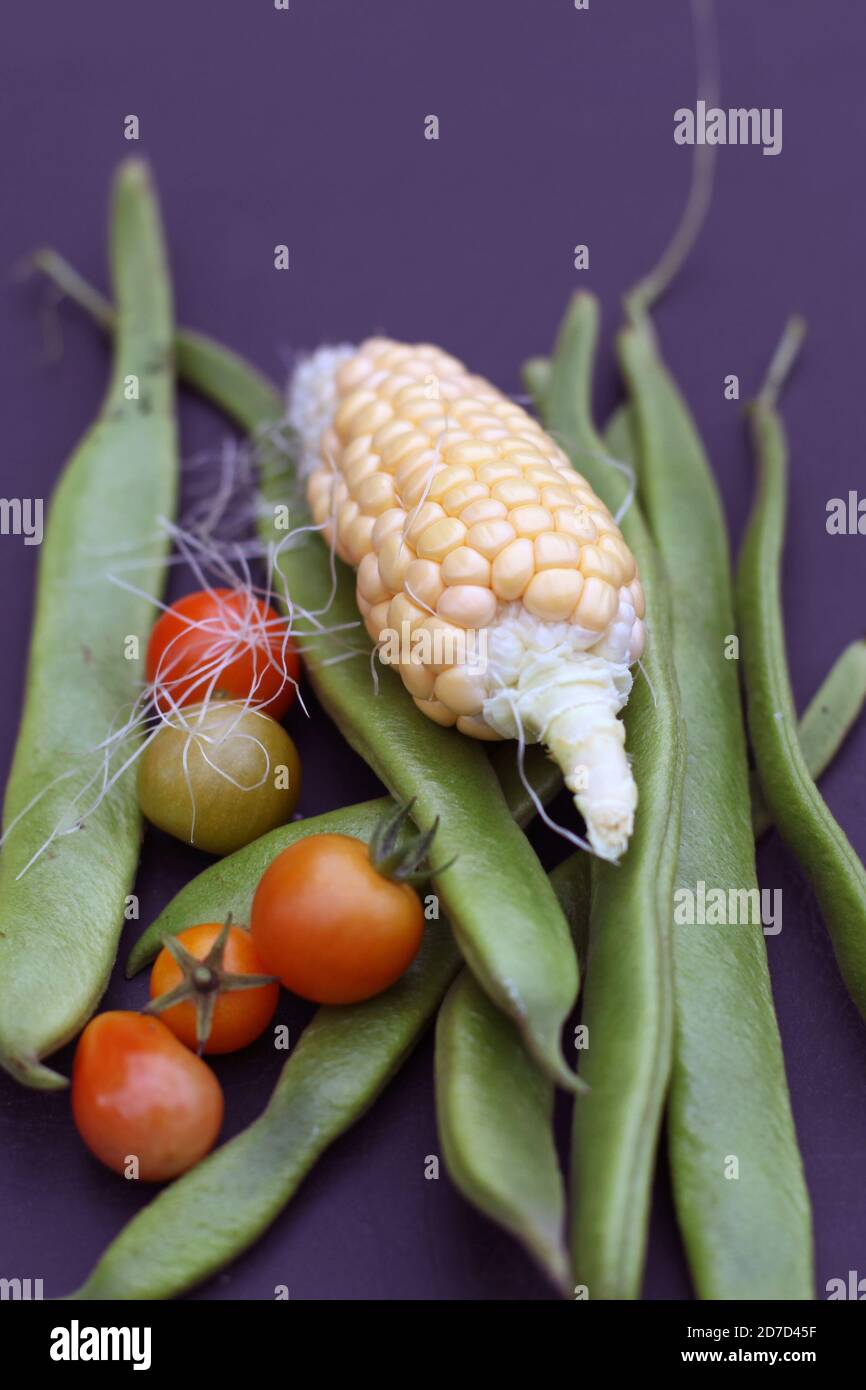 Una selezione deludente delle verdure coltivate in casa dall'assegnazione del lotto del vegetale del giardino Regno Unito, ottobre 2020 Foto Stock